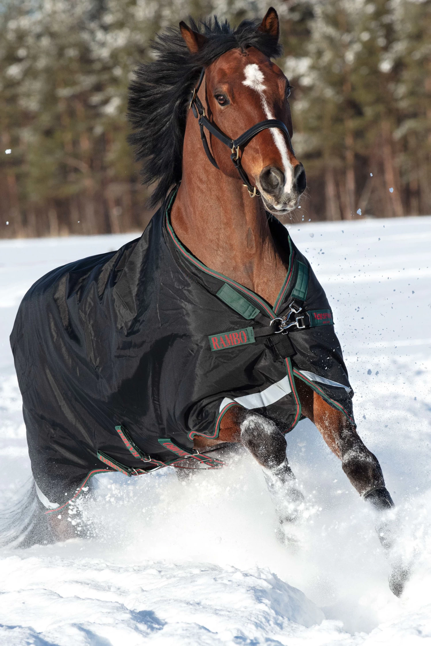 Horseware Rambo Original Turnout With Leg Arches, 200g