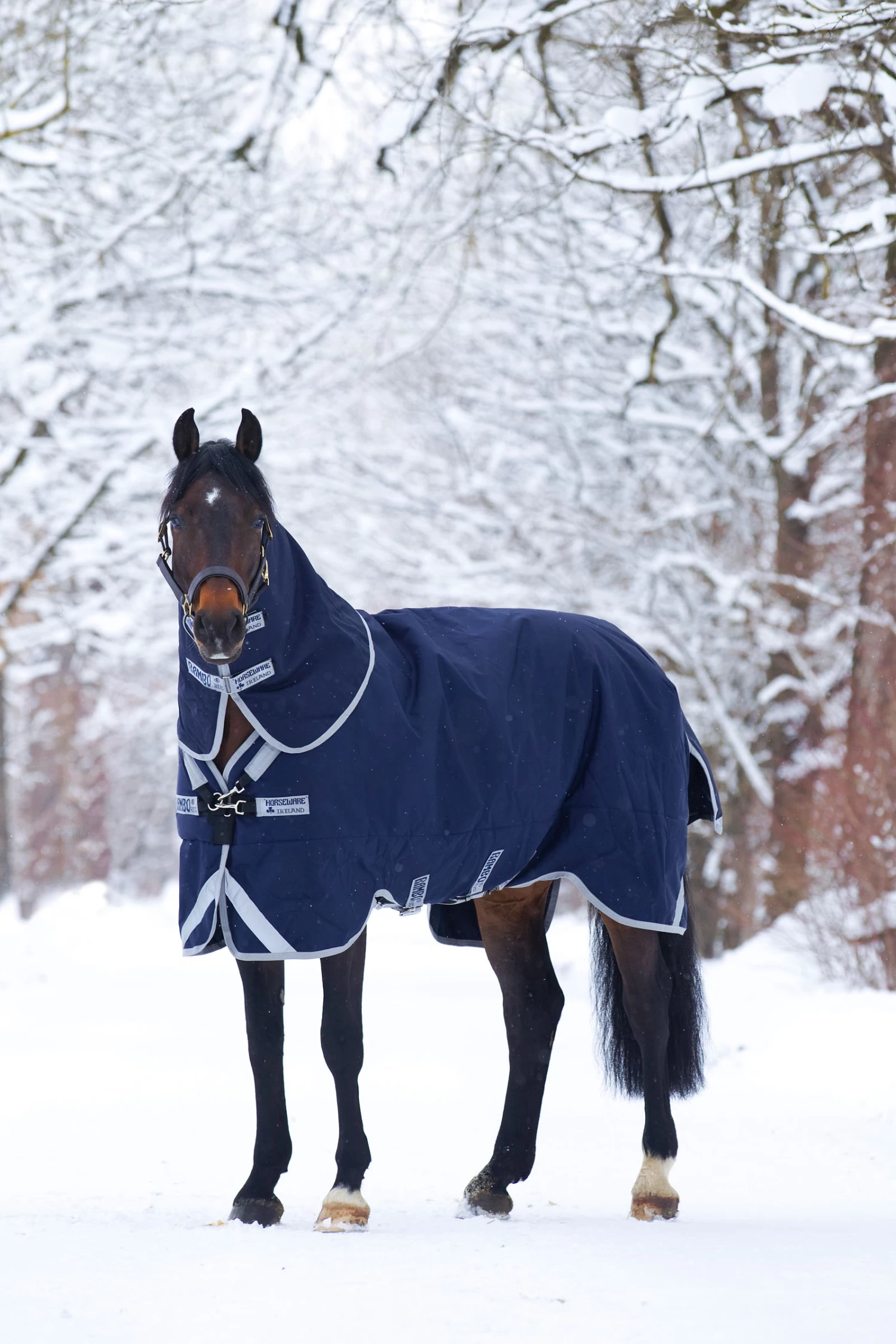 Horseware Rambo Original Turnout With Leg Arches, 200g - Image 2