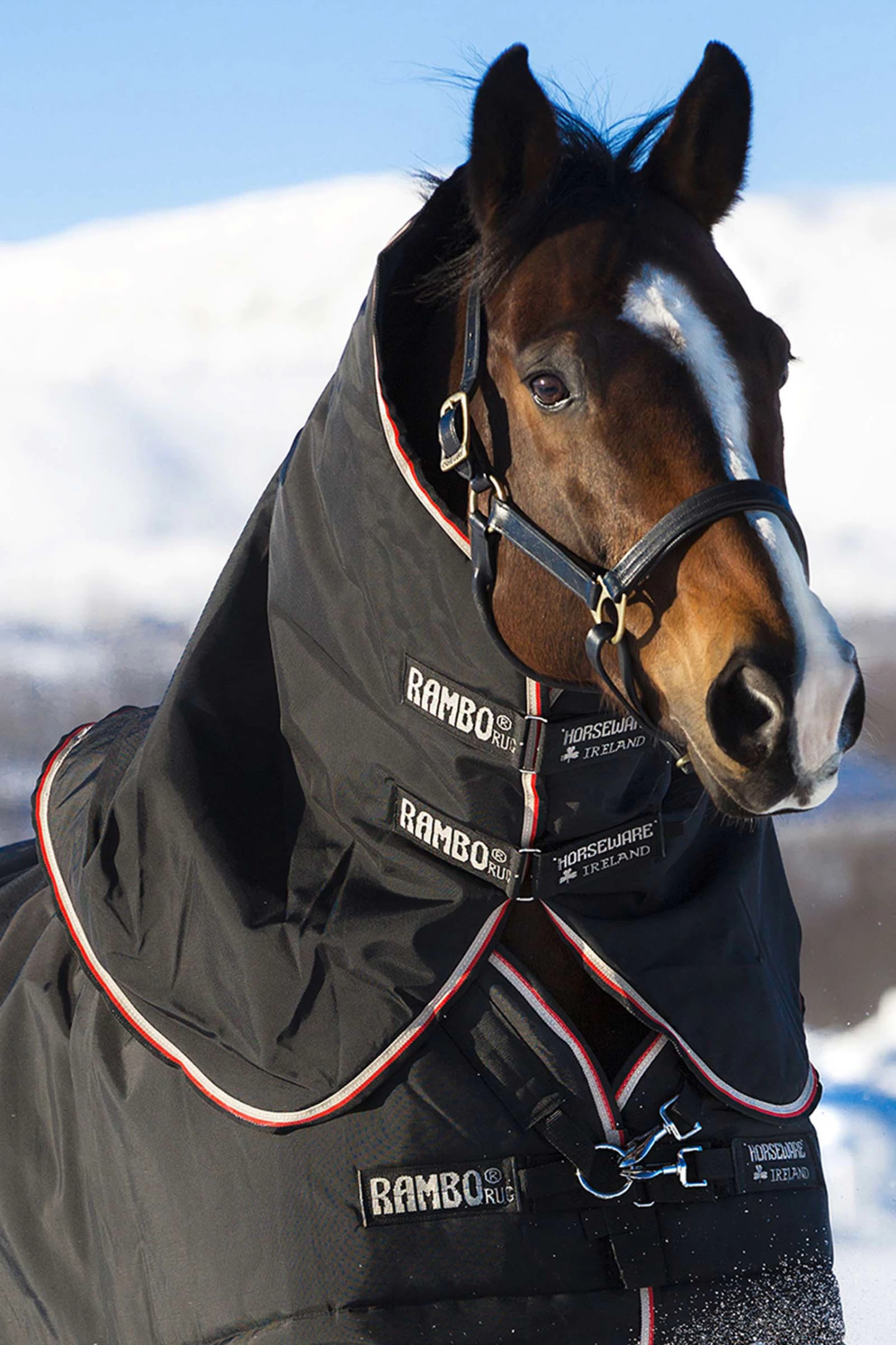 Horseware Rambo Supreme Hood, 250g - Image 3