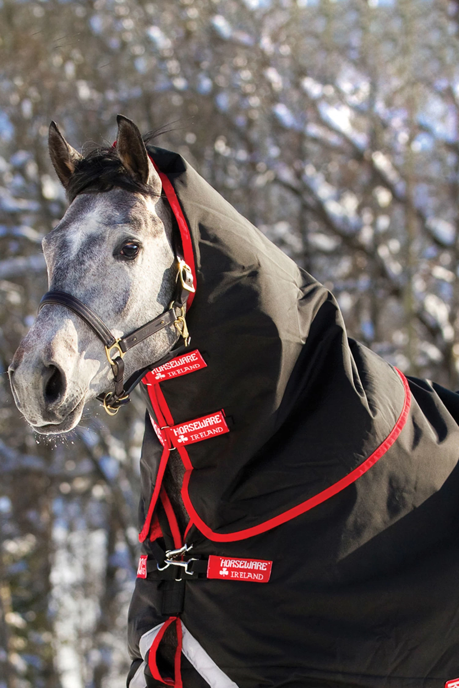 Horseware Rambo Supreme Hood, 250g - Image 5