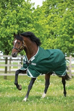 Horseware Rambo Original Turnout With Leg Arches, 0g