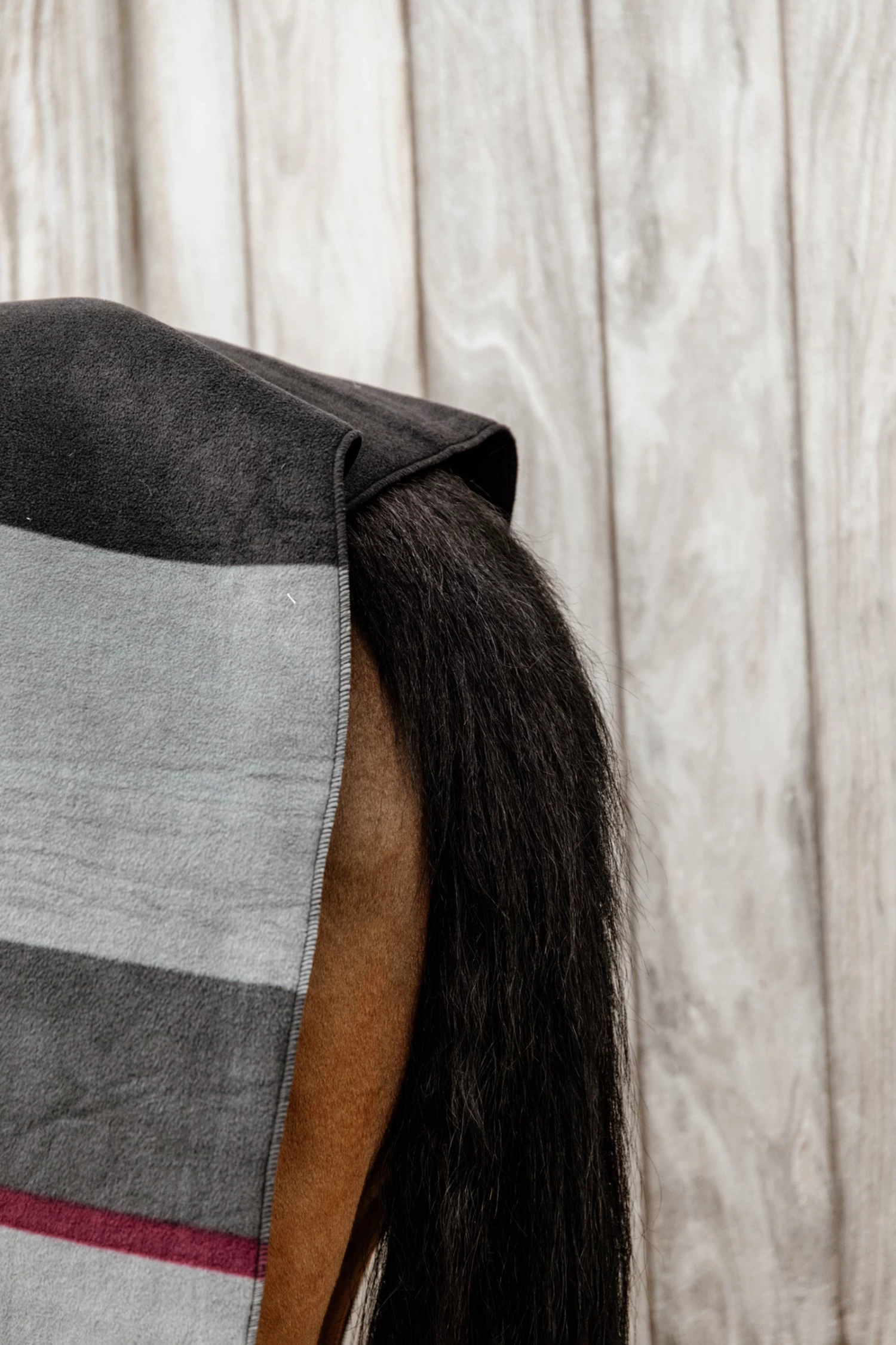 Kentucky Horsewear Heavy Fleece Rug - Image 7