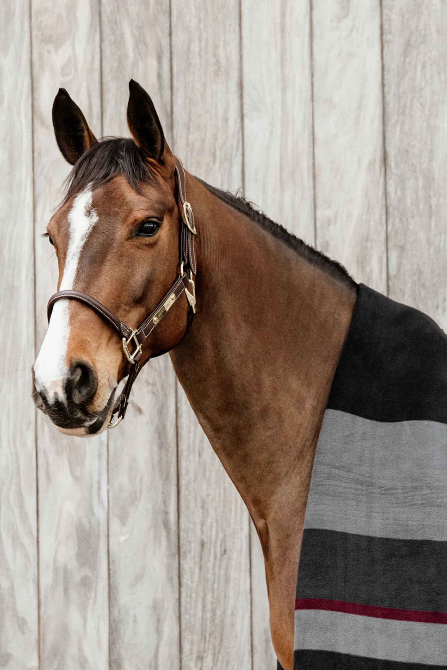Kentucky Horsewear Heavy Fleece Rug - Image 8