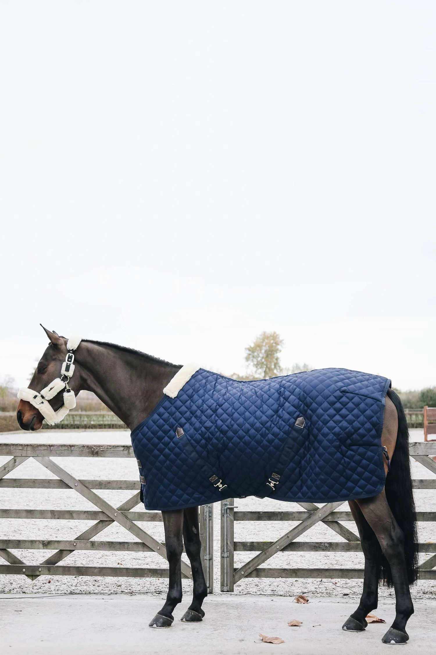 Kentucky Horsewear Stable Rug, 200g - Image 2
