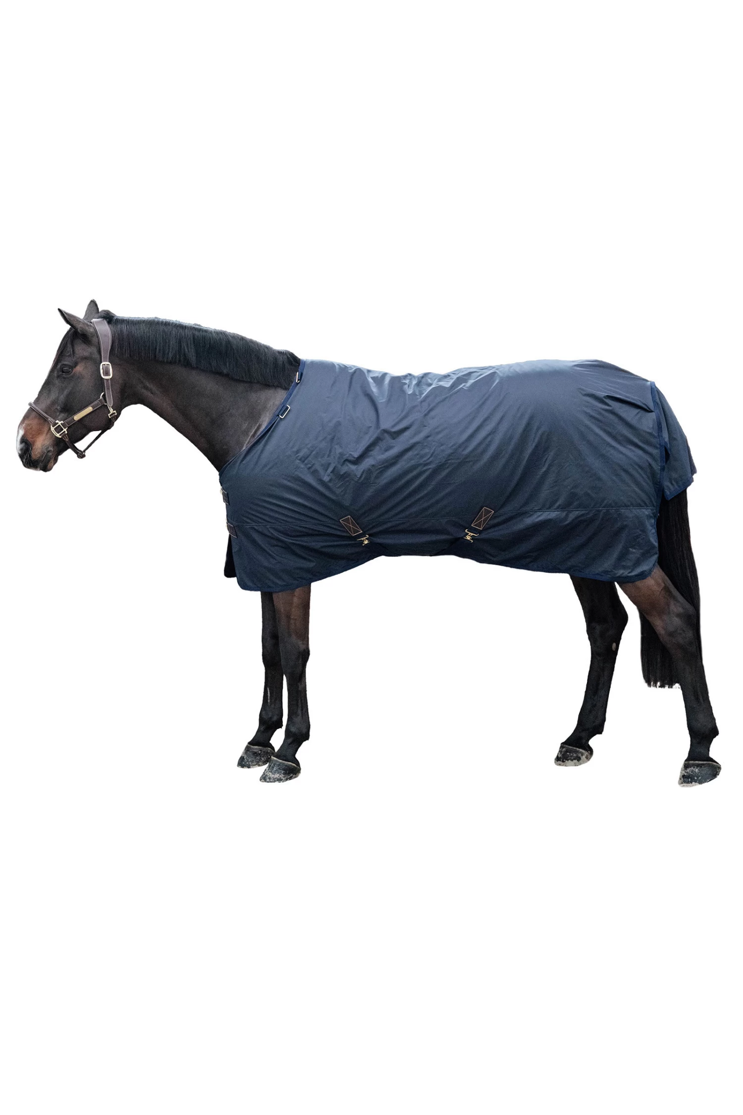 Kentucky Horsewear All Weather Hurricane Turnout, 0g - Image 2