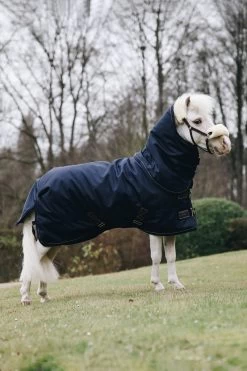 Kentucky Horsewear Pony All Weather Classic Turnout Rug, 0g