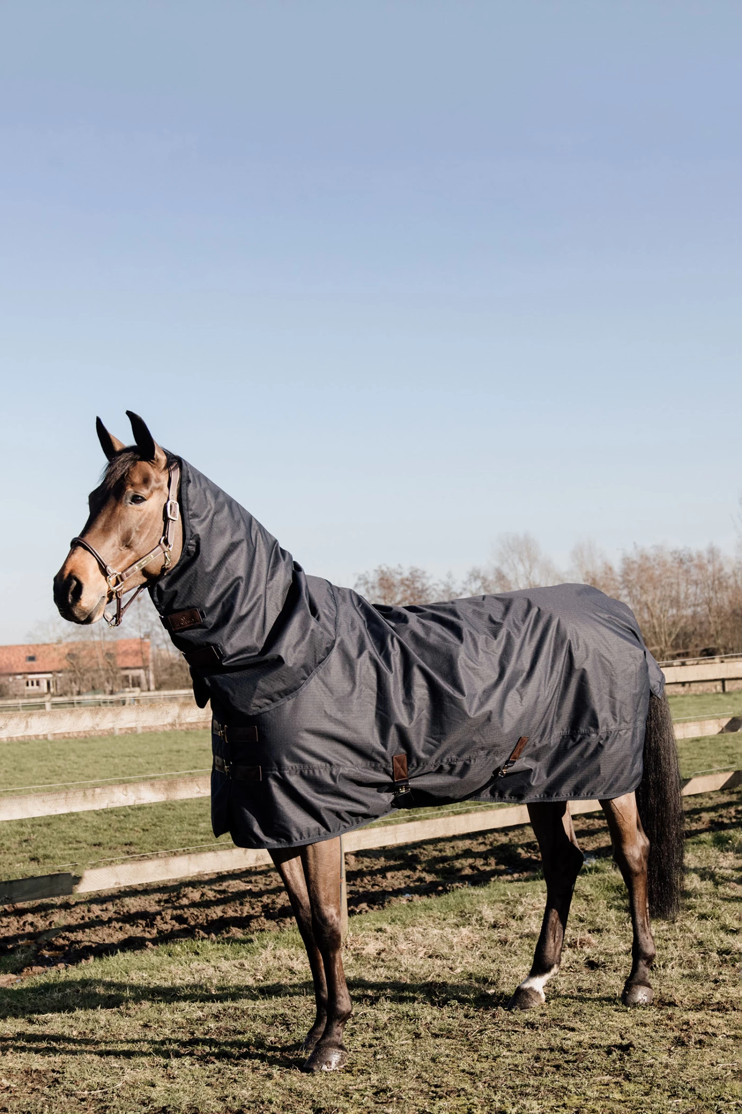 Kentucky Horsewear Pony All Weather Classic Turnout Rug, 150g - Image 2