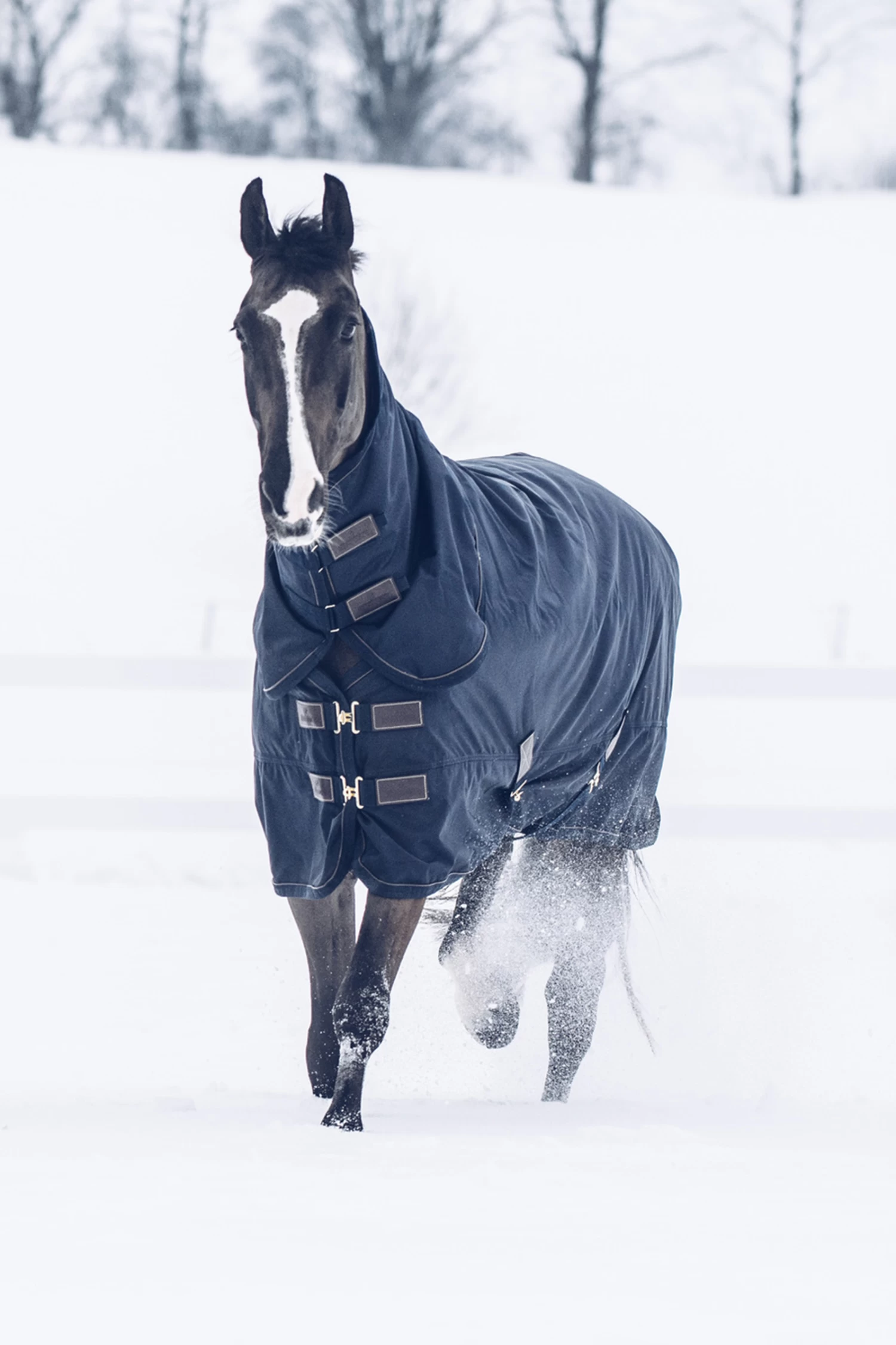 Kentucky Horsewear Tiny All Weather Turnout Rug, 300g - Image 6