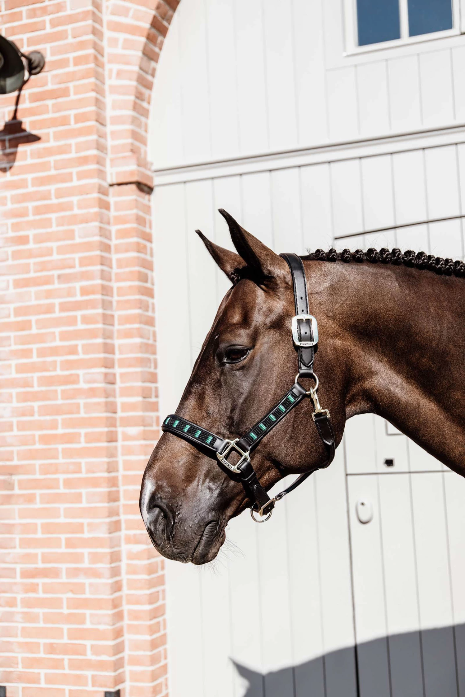 Kentucky Horsewear Pearls Halter - Image 4
