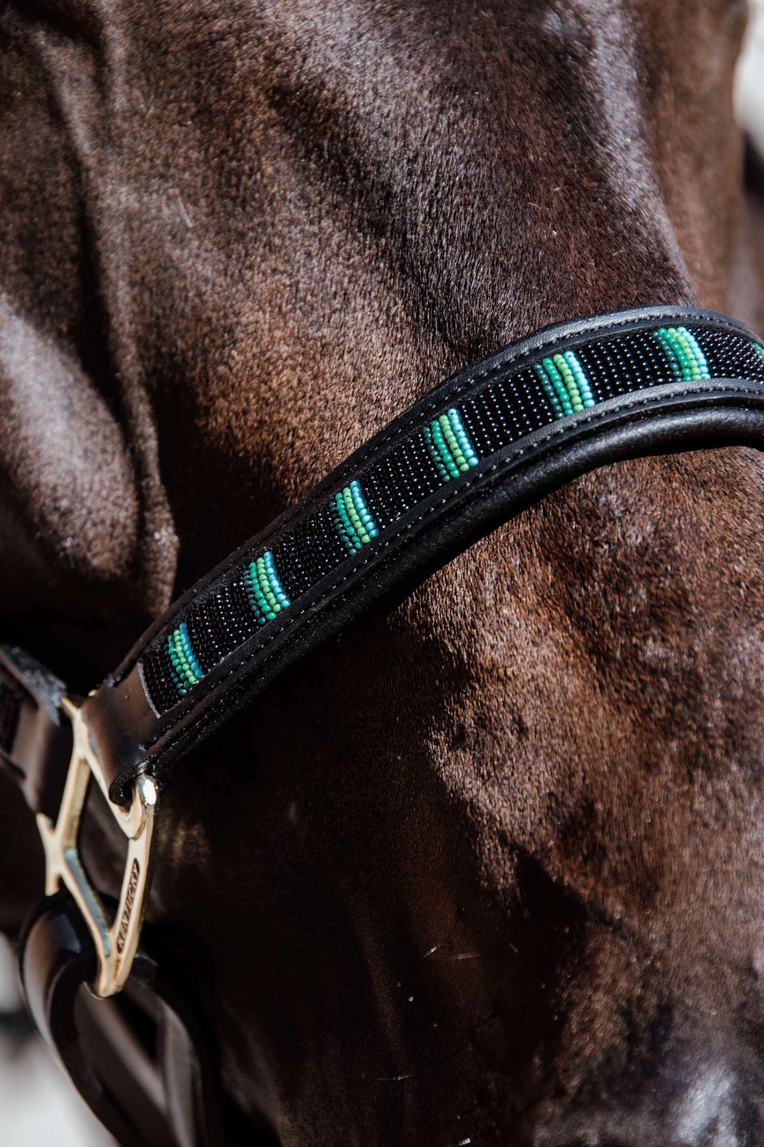 Kentucky Horsewear Pearls Halter - Image 5