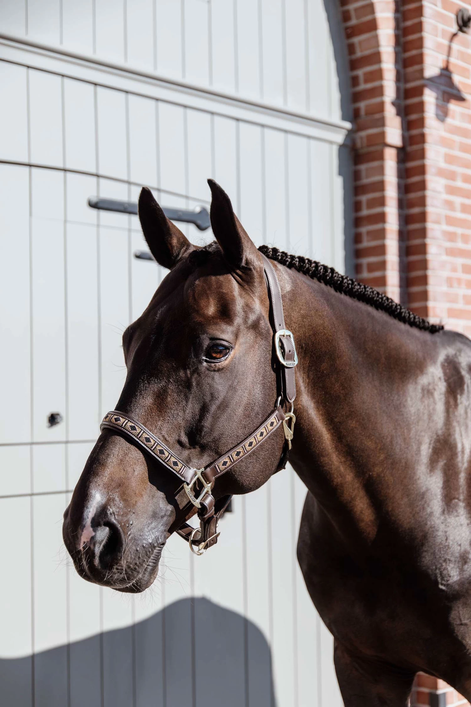 Kentucky Horsewear Pearls Halter - Image 8