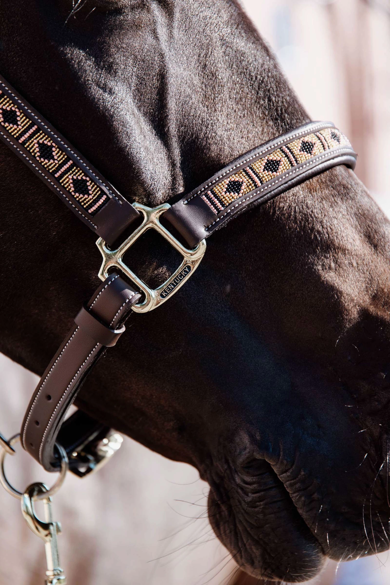 Kentucky Horsewear Pearls Halter - Image 9