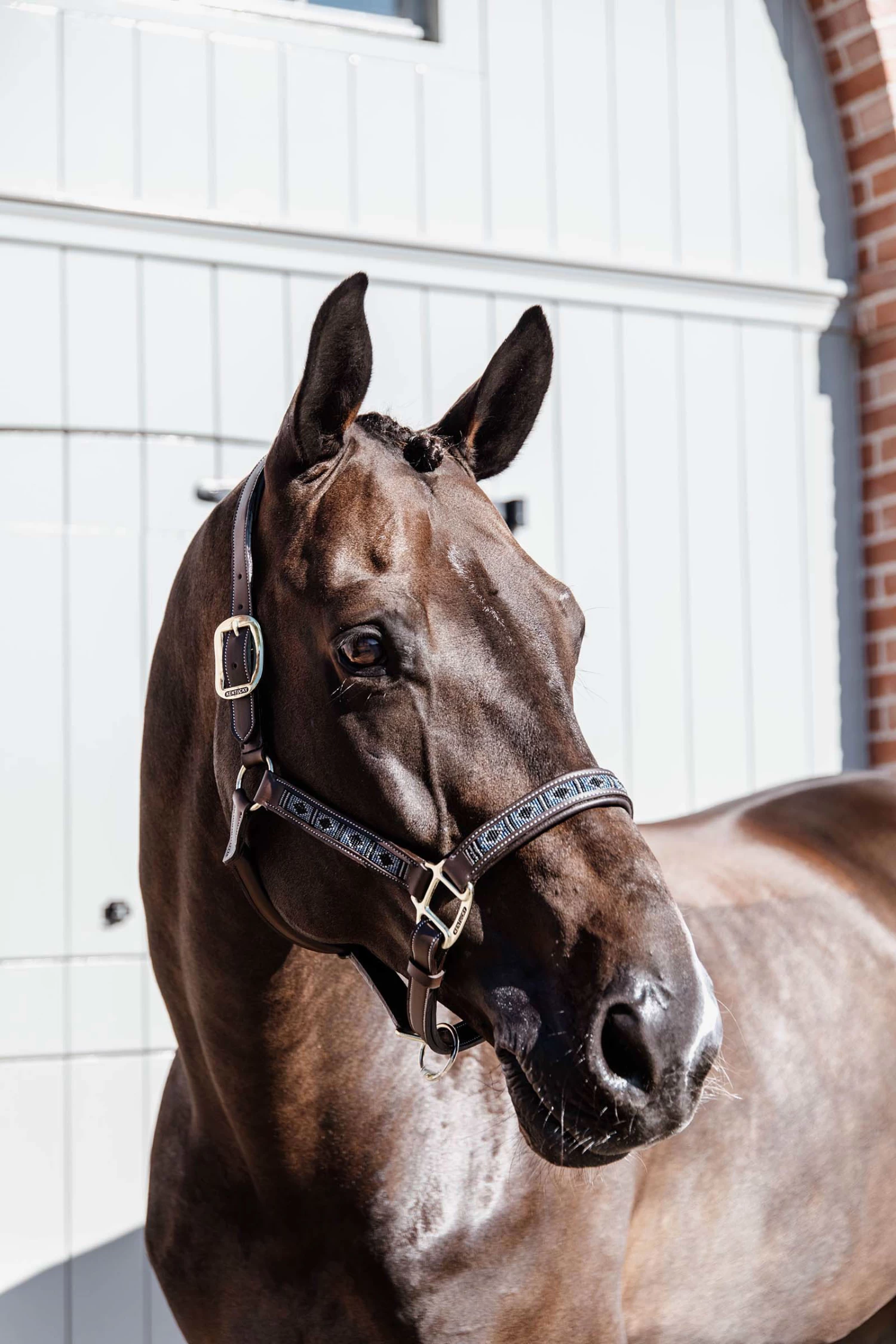 Kentucky Horsewear Pearls Halter - Image 12