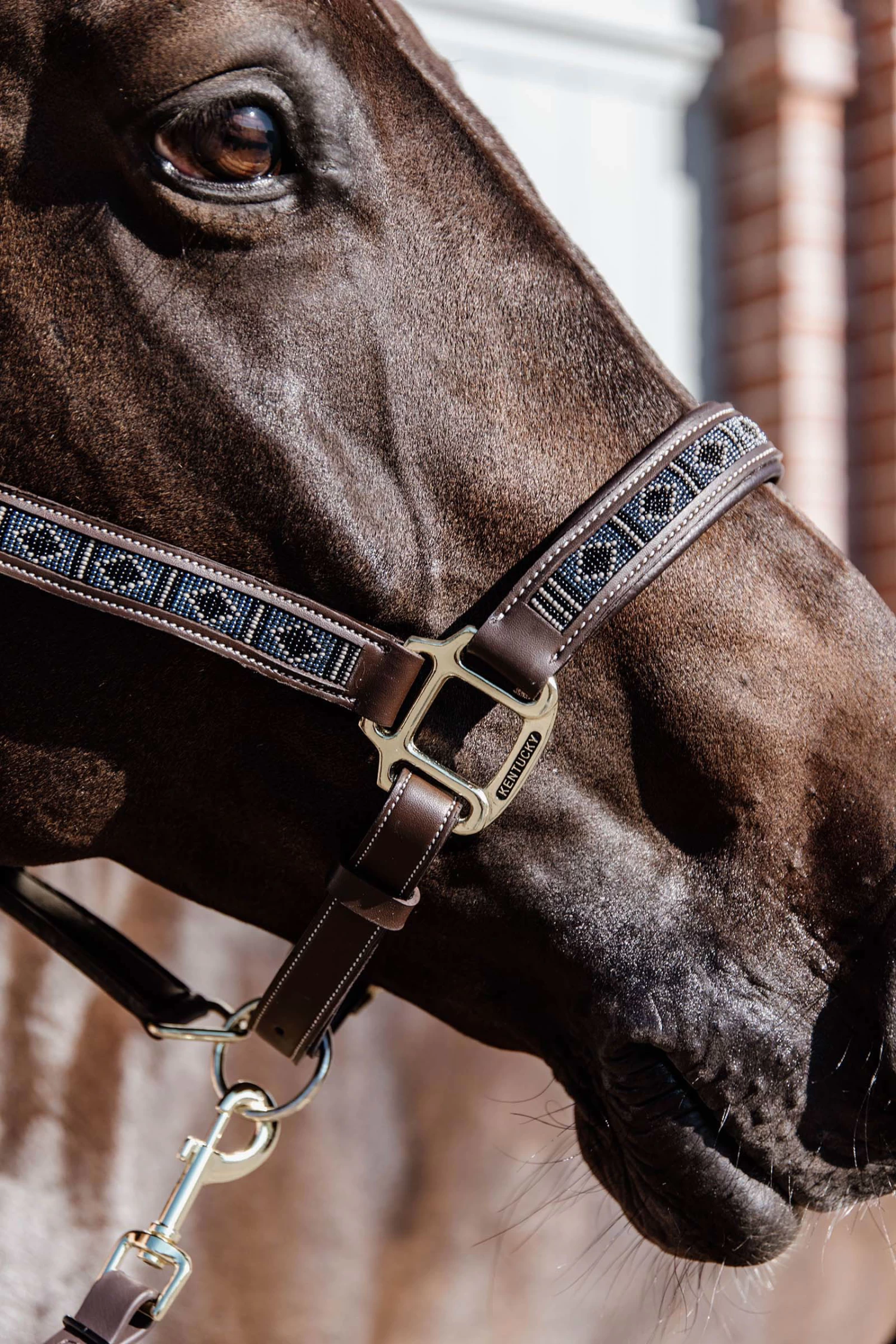 Kentucky Horsewear Pearls Halter - Image 13