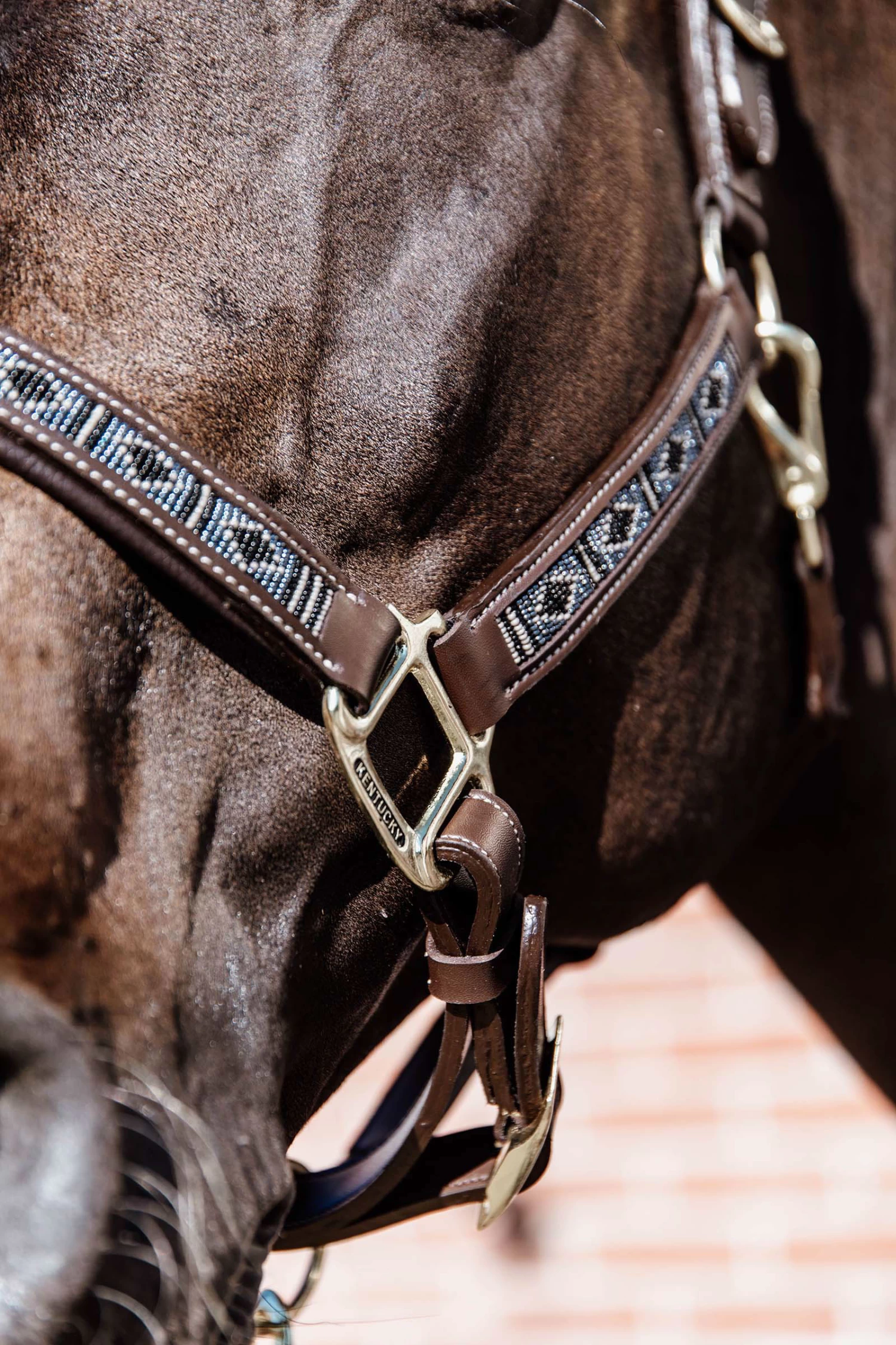 Kentucky Horsewear Pearls Halter - Image 14