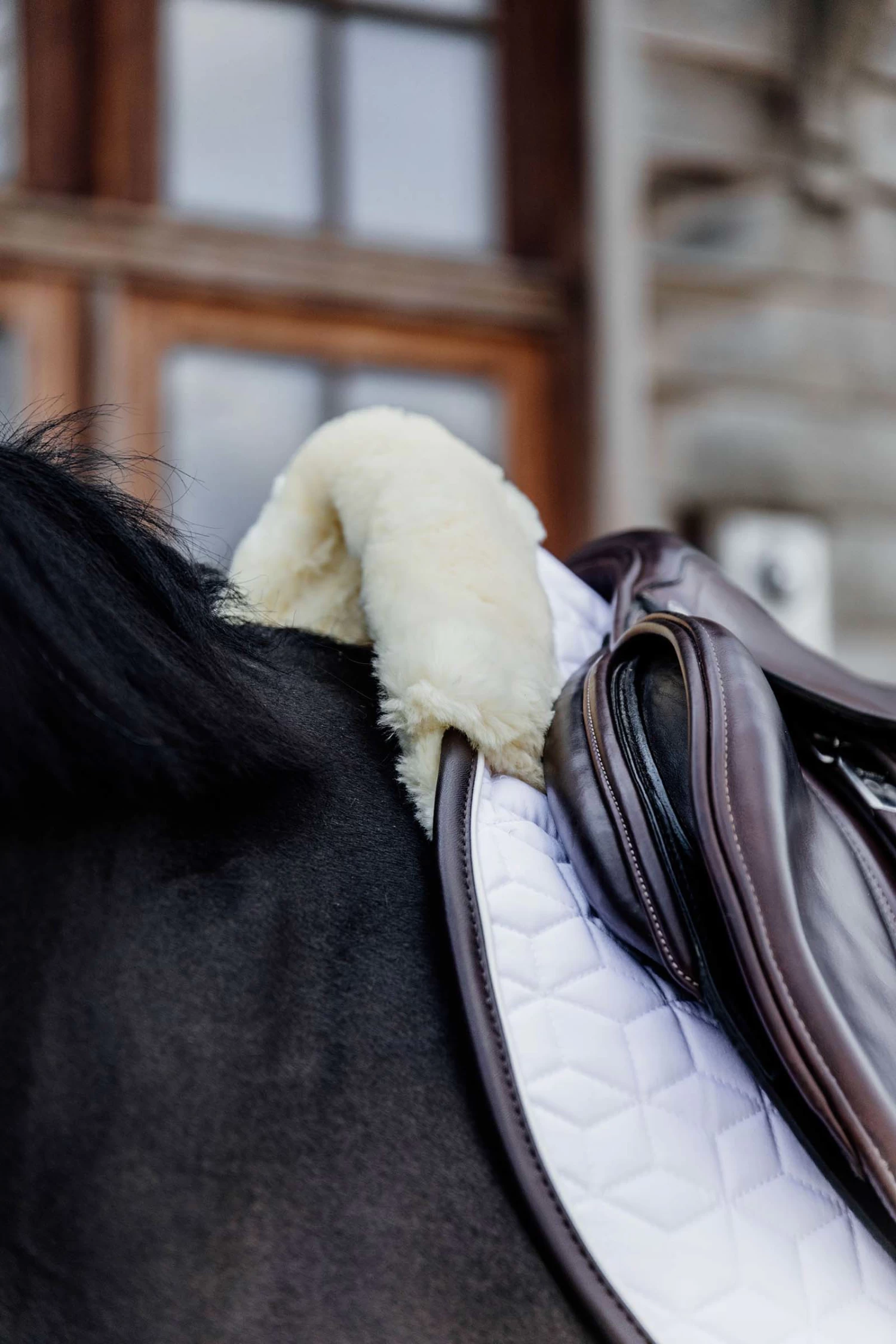 Kentucky Horsewear Skin Friendly Jumping Saddle Pad - Image 3