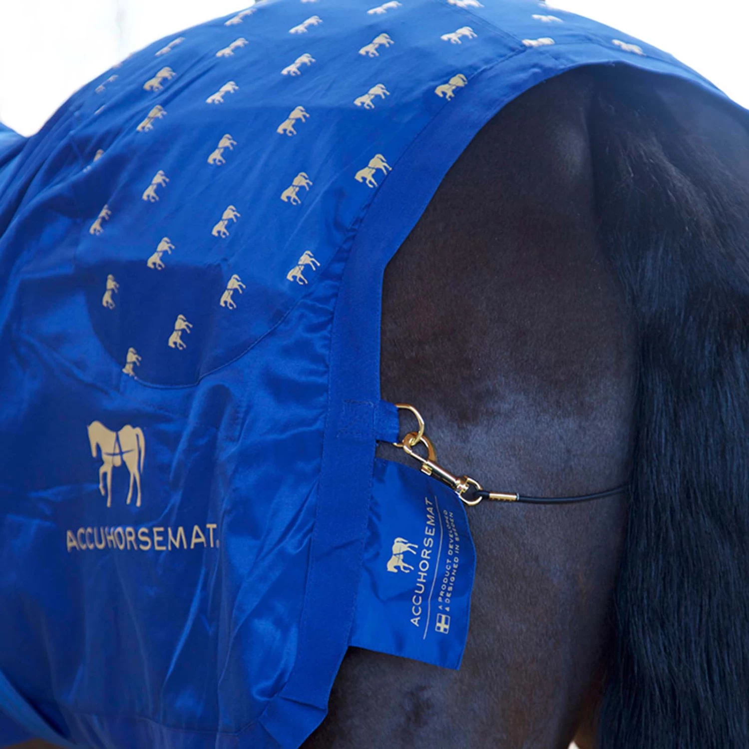 Accuhorsemat Original - Image 2