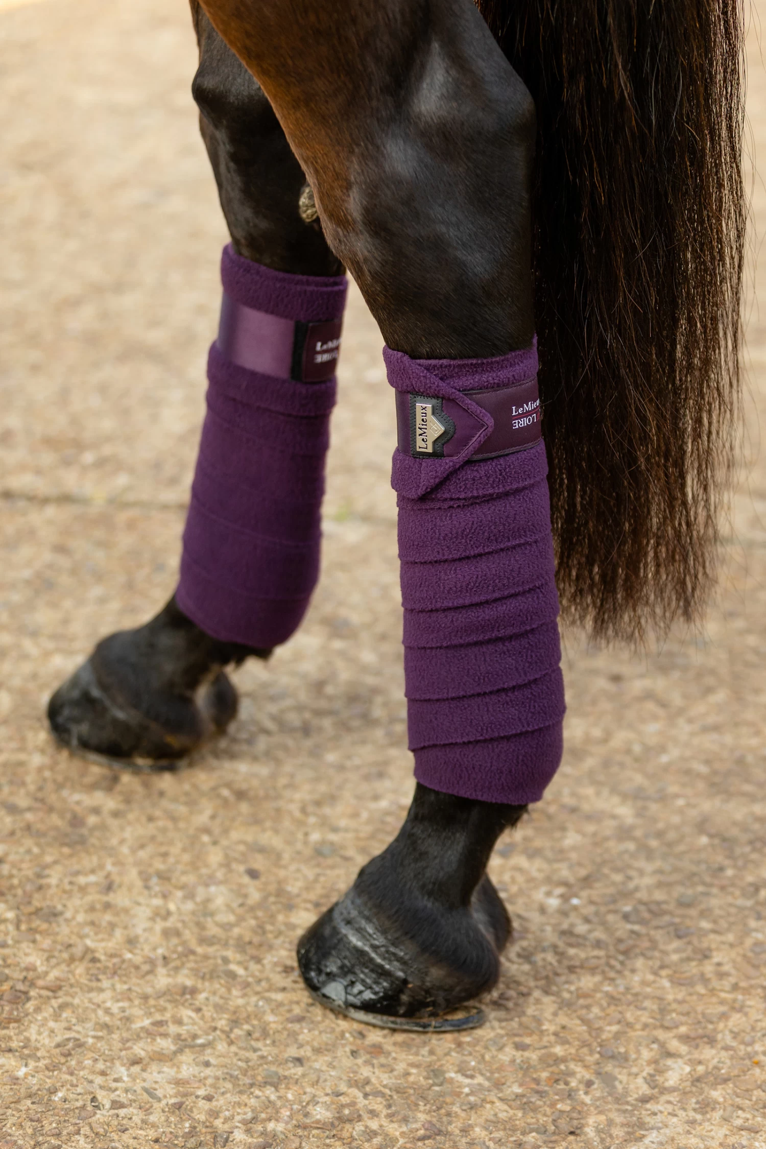 LeMieux Loire Polo Bandages - Image 6