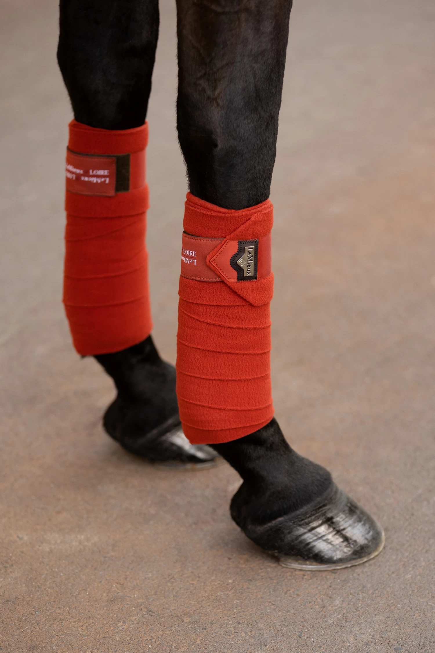 LeMieux Loire Polo Bandages - Image 12