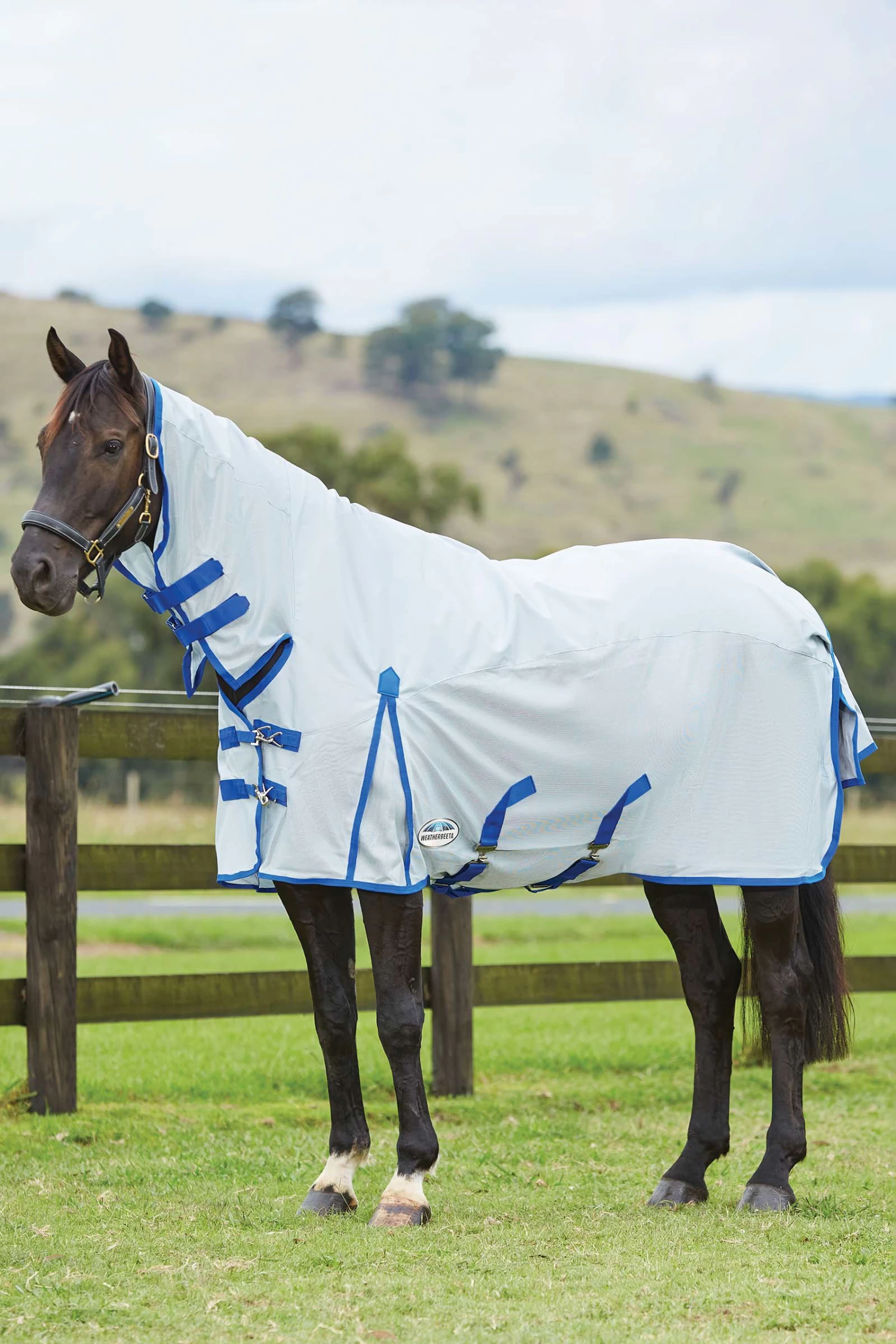 Weatherbeeta Comfitec 600D/Mesh II Fly Rug With Fixed Neck