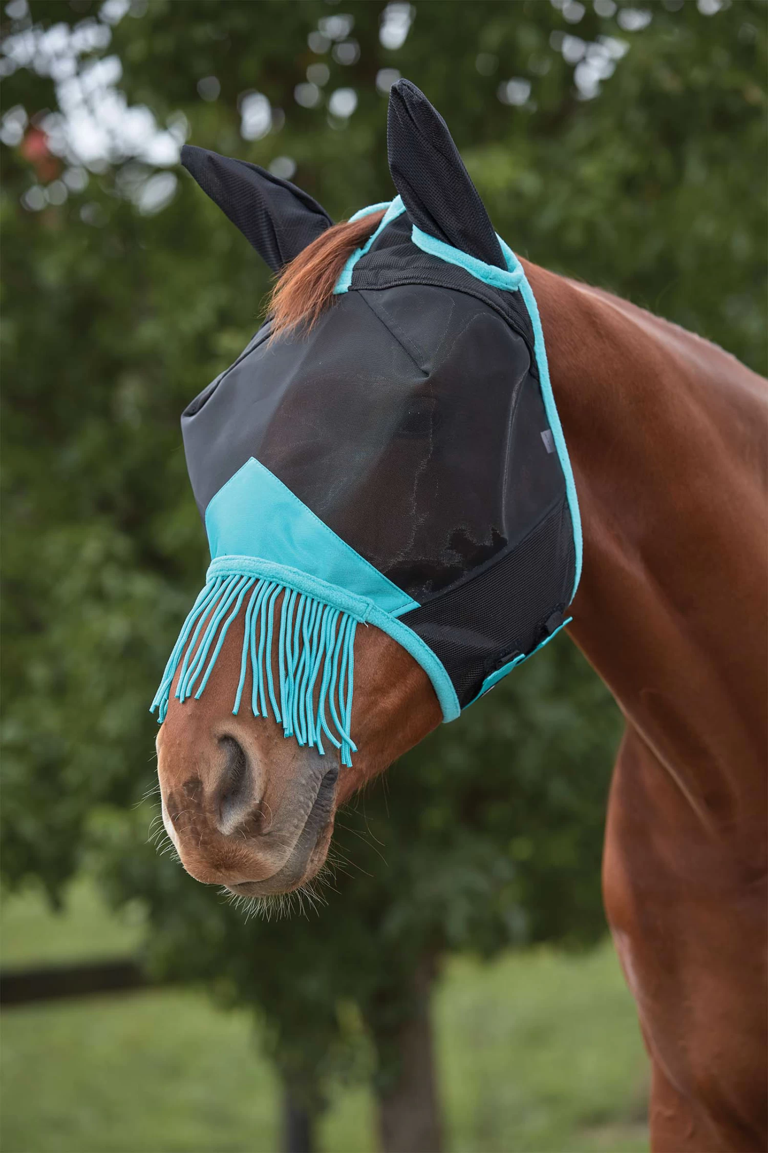 Weatherbeeta Comfitec Deluxe Fine Mesh Mask With Ears & Tassels
