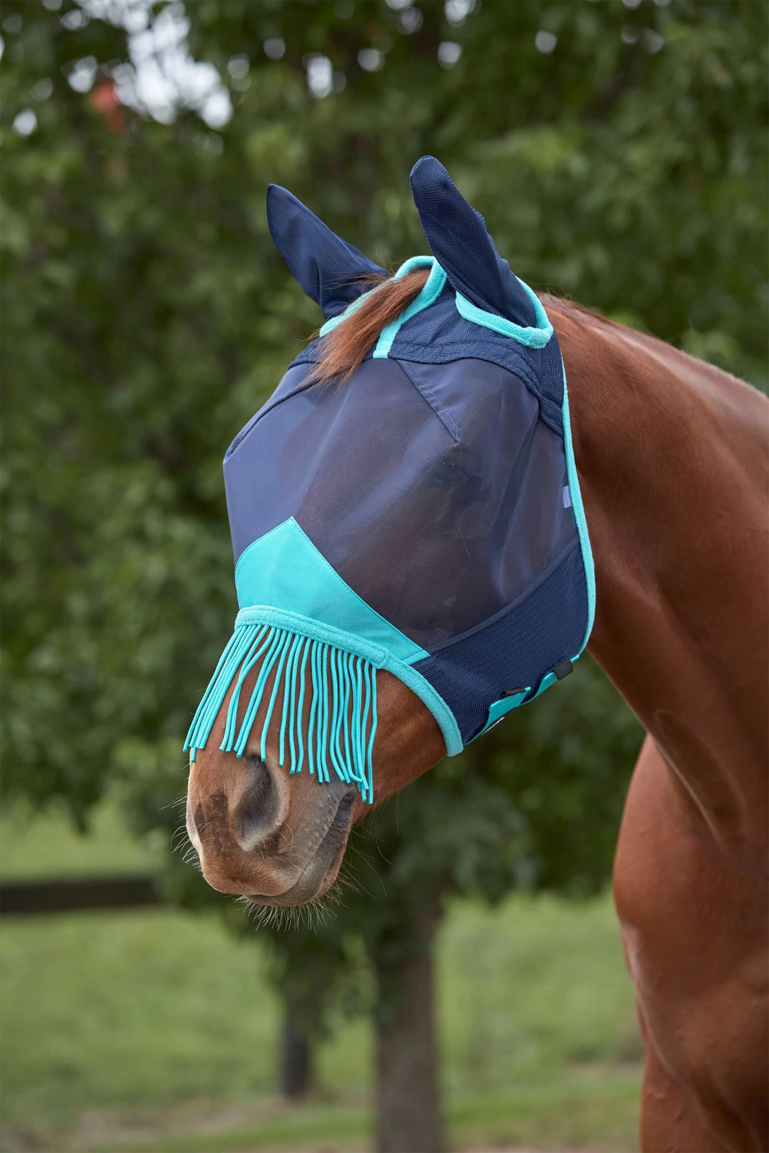Weatherbeeta Comfitec Deluxe Fine Mesh Mask With Ears & Tassels - Image 2