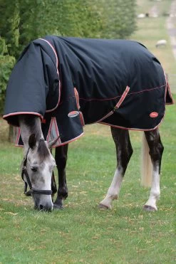 Weatherbeeta Comfitec Premier With Therapy-Tec Detach-A-Neck, 50g