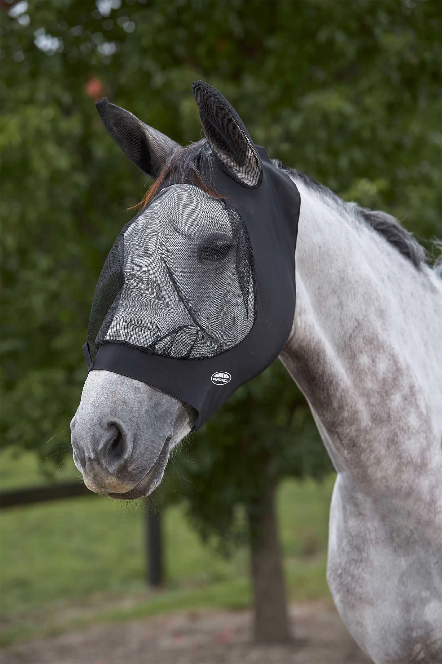 Weatherbeeta Deluxe Stretch Eye Saver With Ears