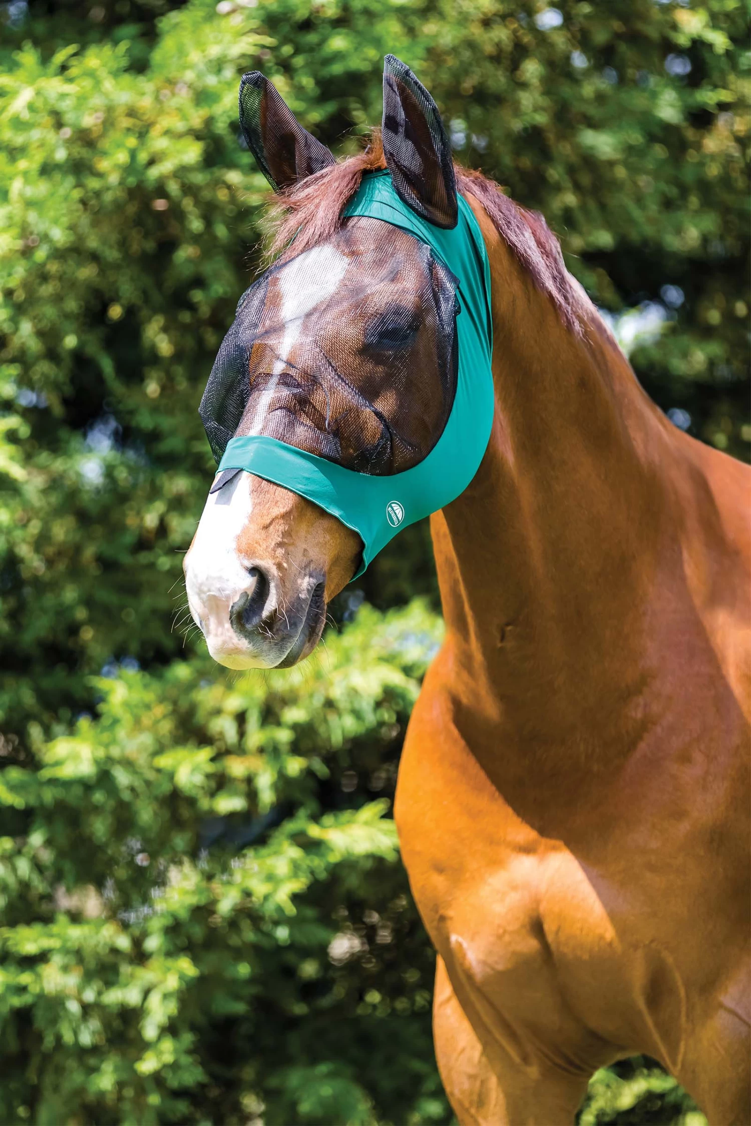 Weatherbeeta Deluxe Stretch Eye Saver With Ears - Image 4