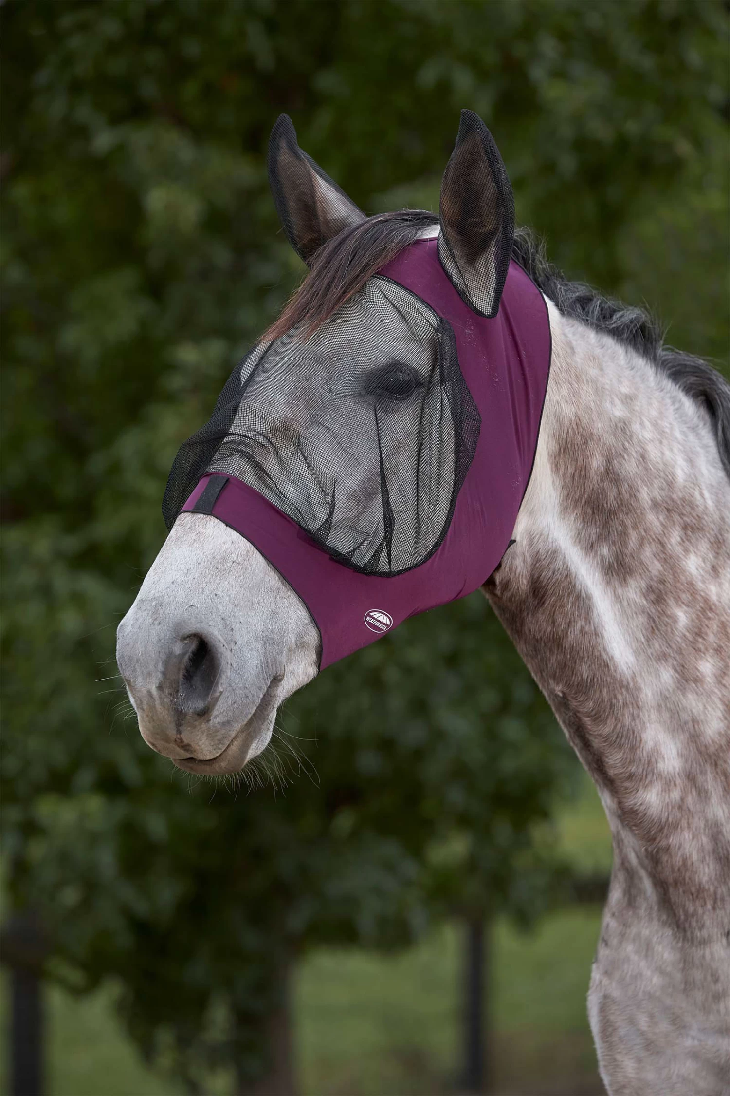 Weatherbeeta Deluxe Stretch Eye Saver With Ears - Image 5