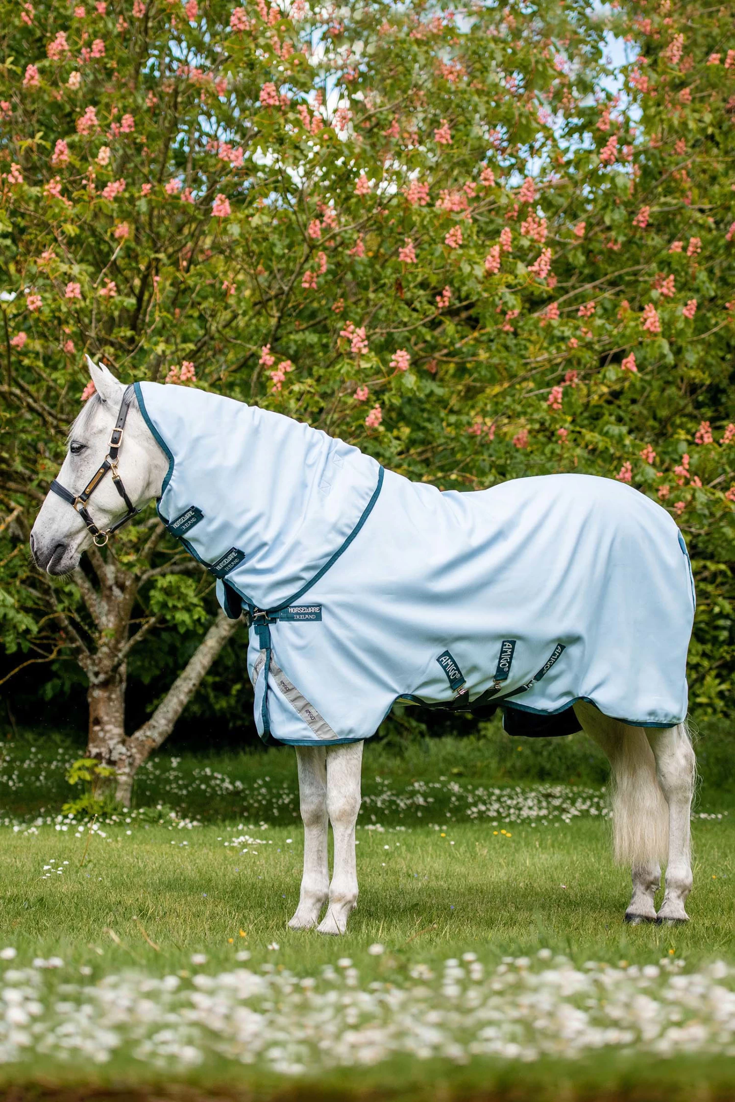 Horseware Amigo Plant Dye Turnout Rug, 50g