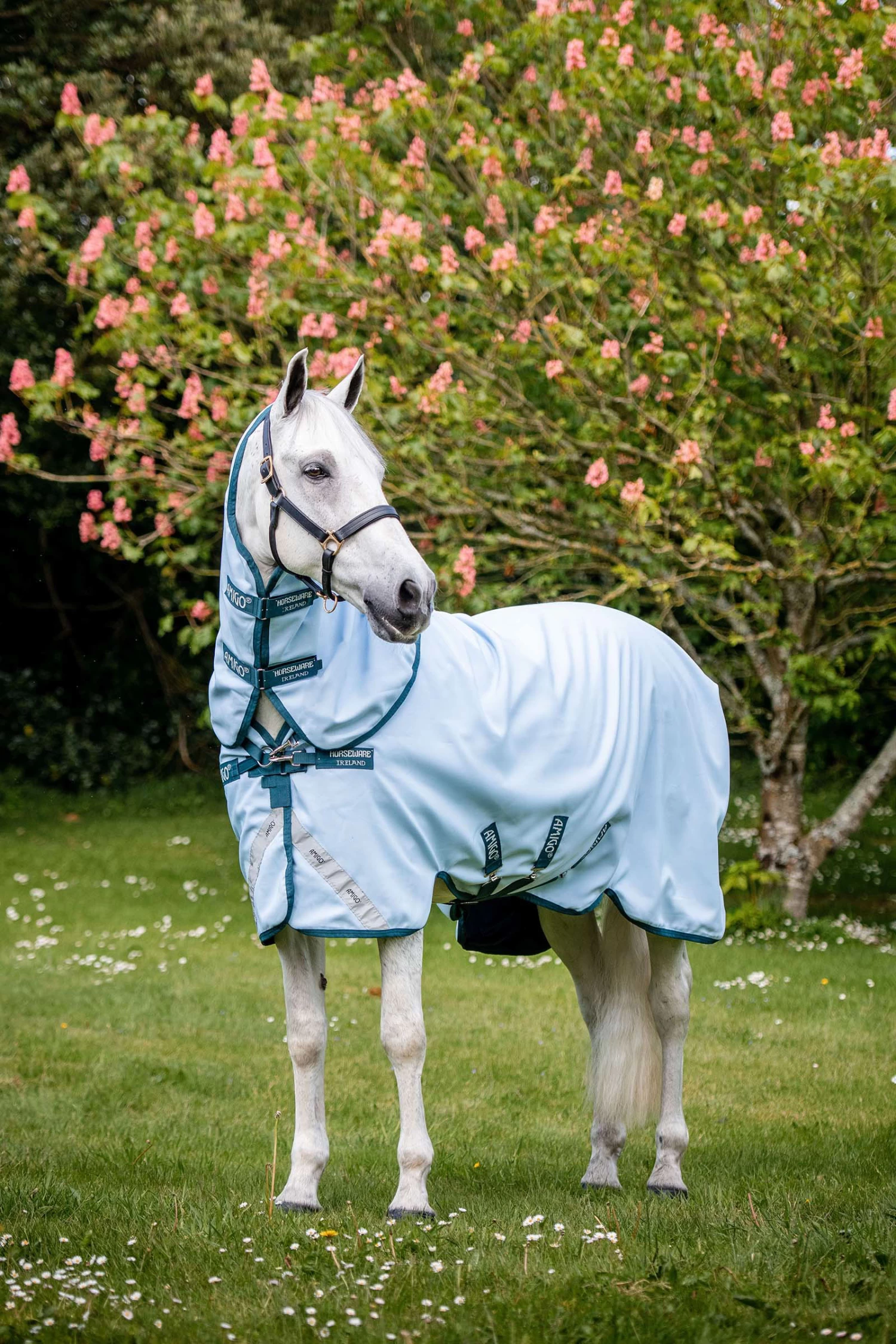 Horseware Amigo Plant Dye Turnout Rug, 50g - Image 2