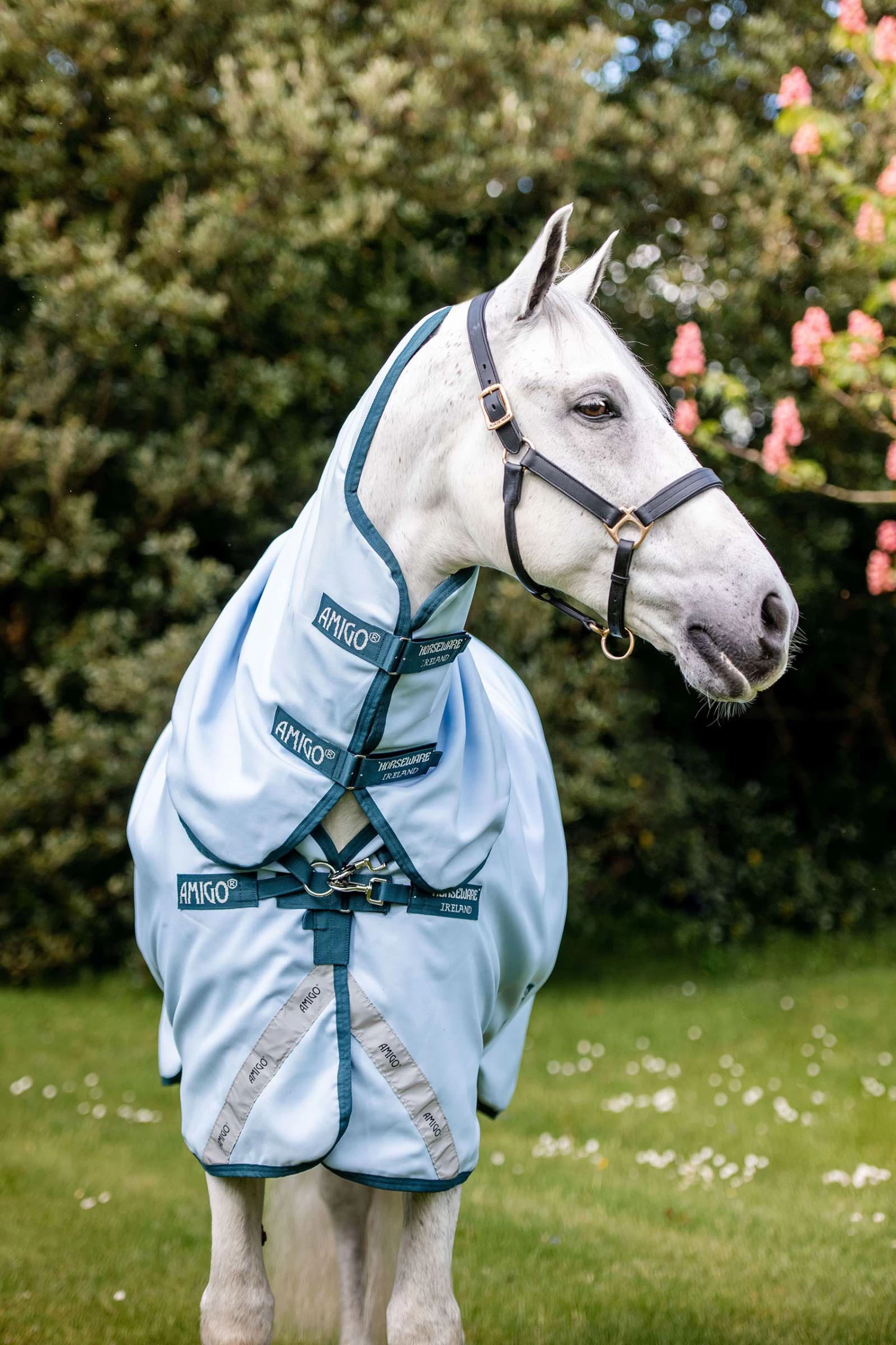 Horseware Amigo Plant Dye Turnout Rug, 50g - Image 3