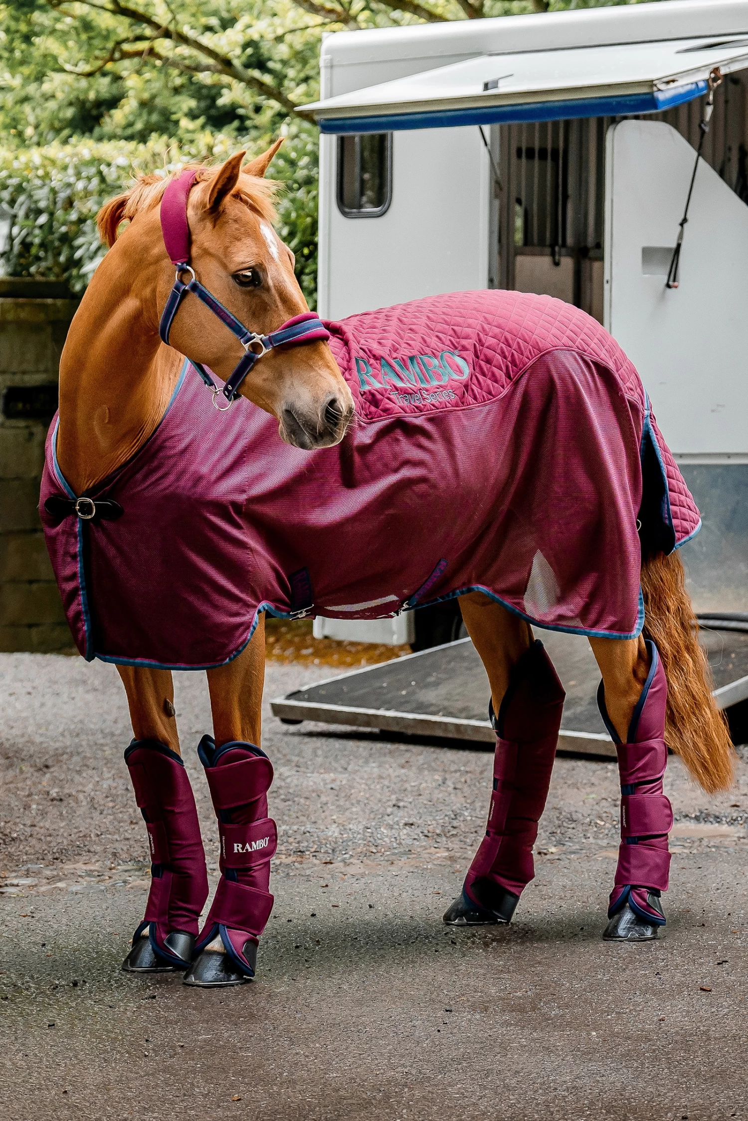 Horseware Rambo Travel Series, 50g - Image 7