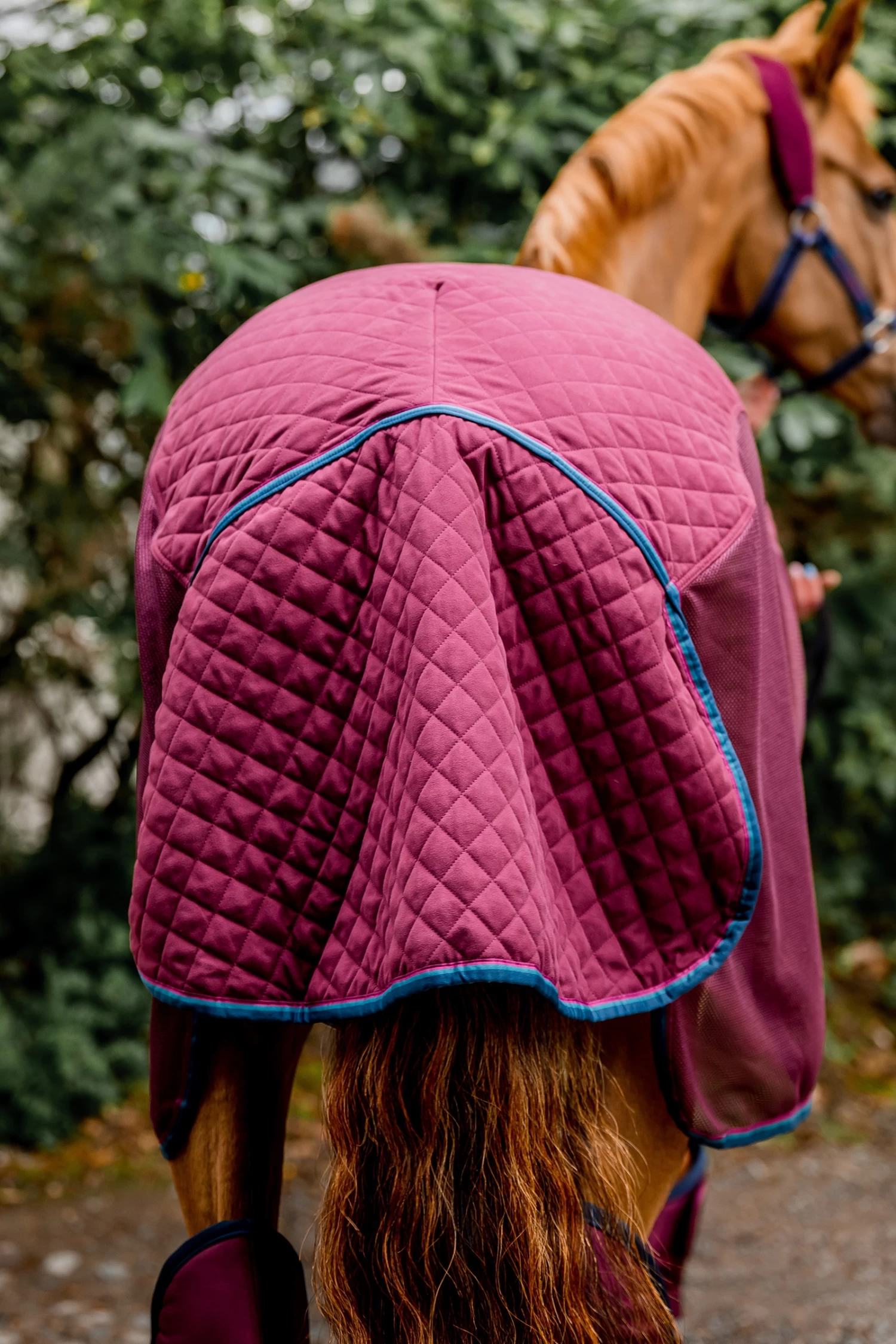 Horseware Rambo Travel Series, 50g - Image 9