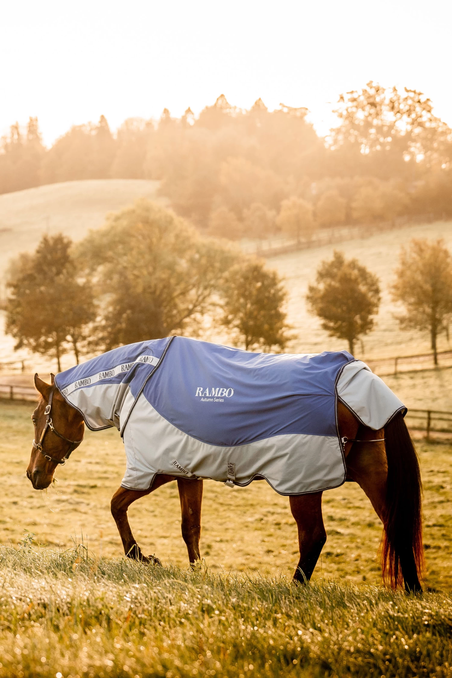 Horseware Rambo Autumn Series - Image 5