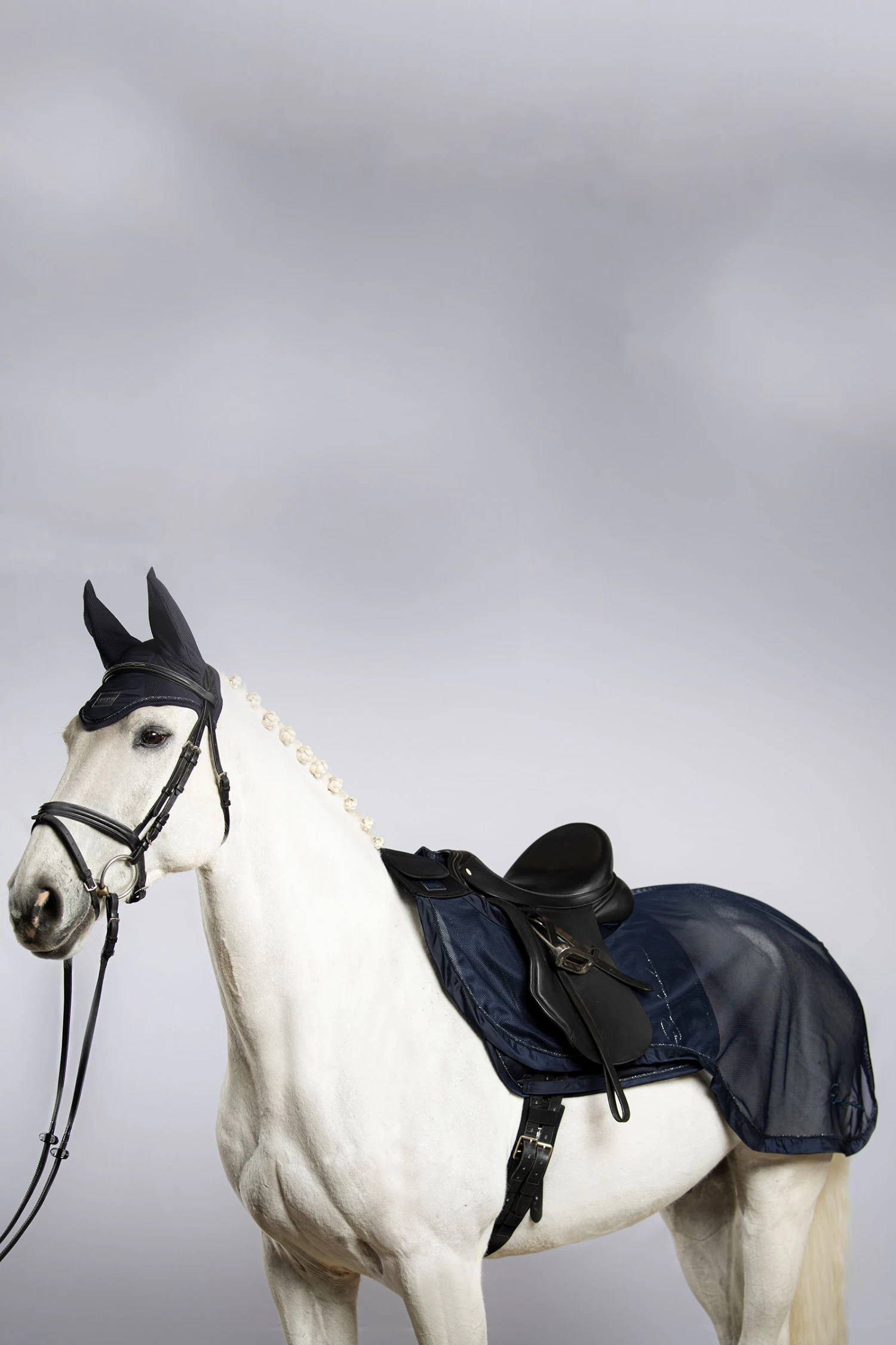 Eskadron Classic Sports SS22 Fly Exercise Exercise Sheet - Image 2