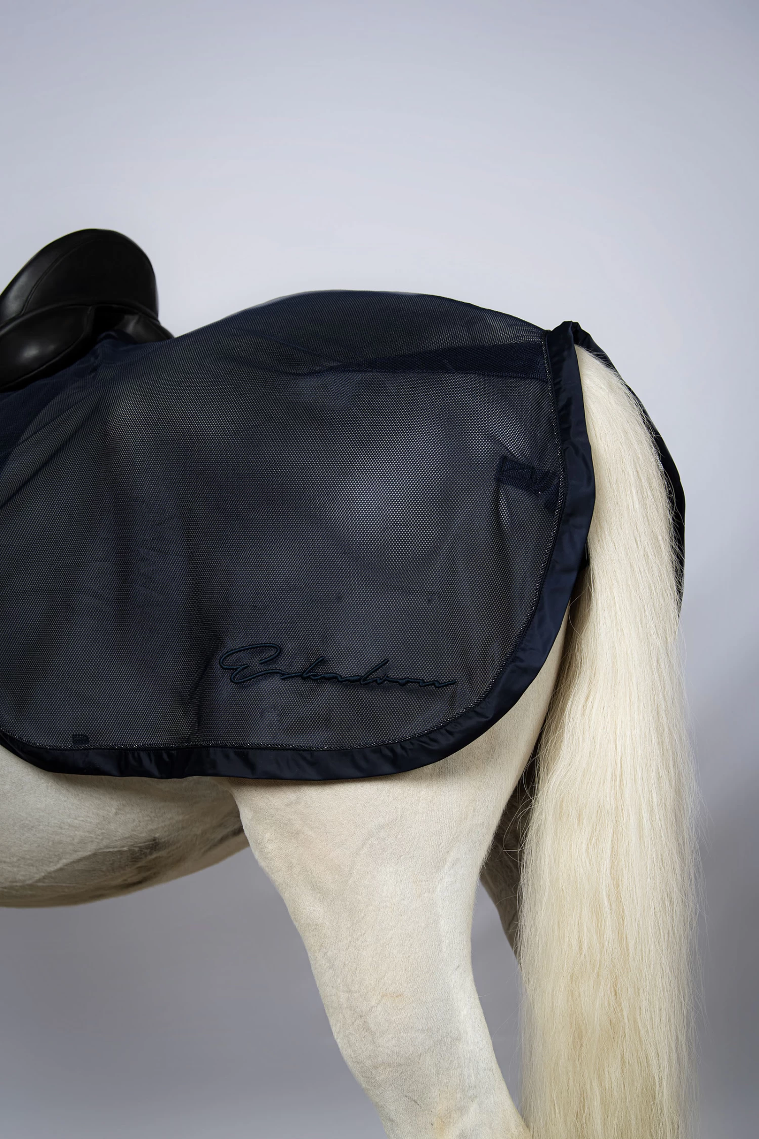 Eskadron Classic Sports SS22 Fly Exercise Exercise Sheet - Image 3