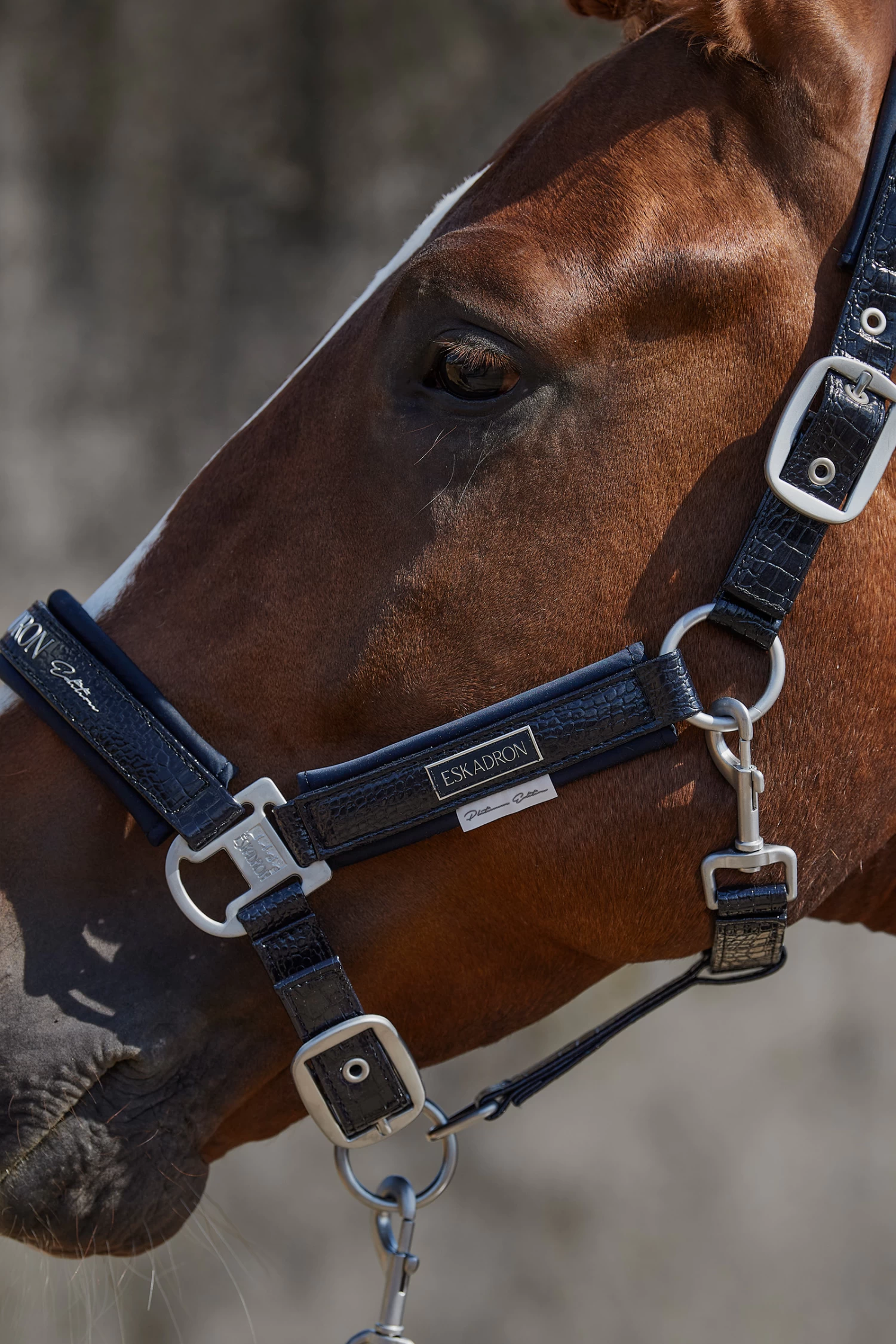 Eskadron Platinum 22 Doublepin Croco Headcollar - Image 3