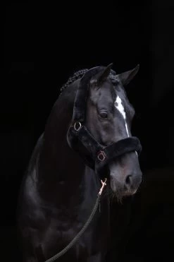 Covalliero SuperSoft Halter