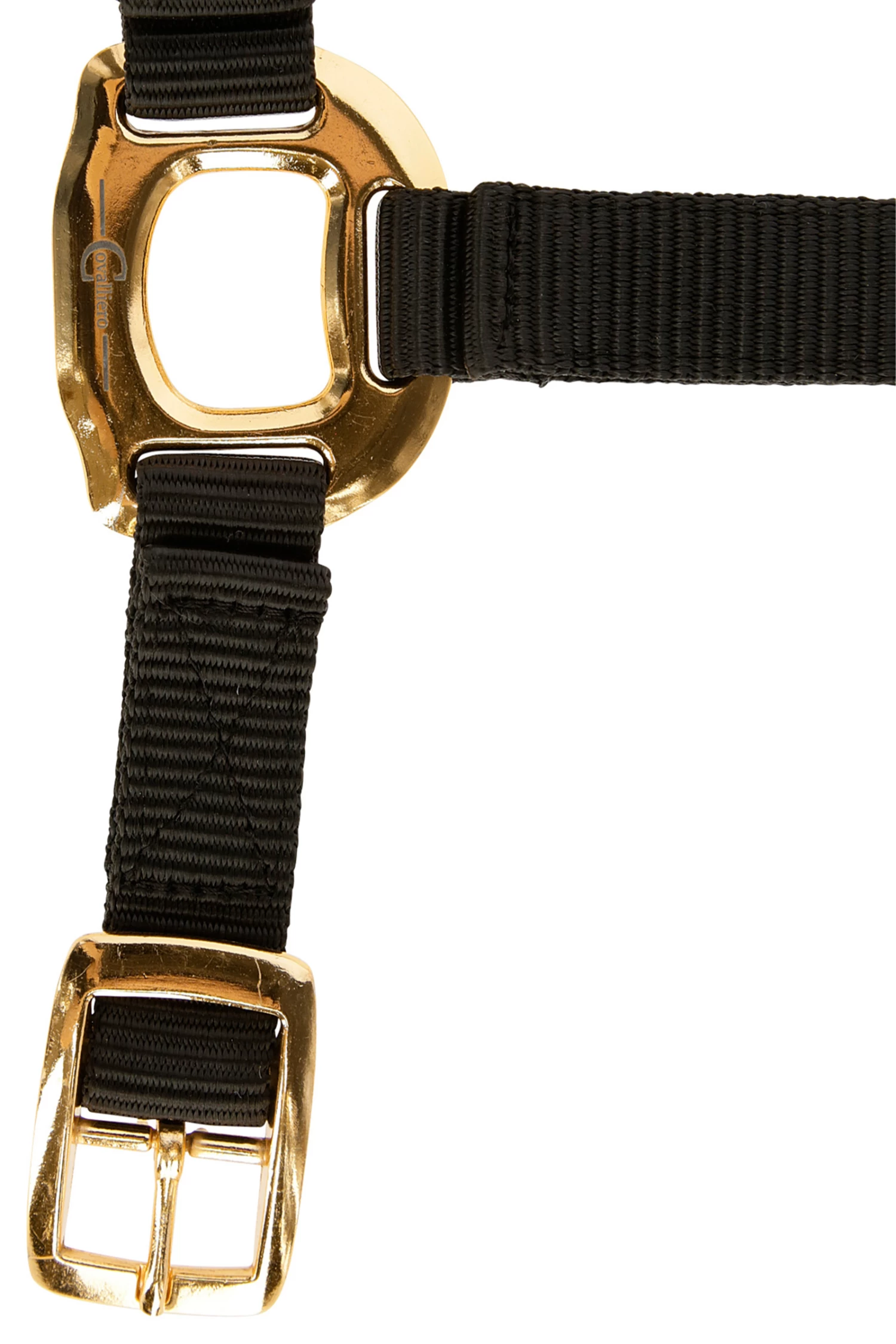 Covalliero TopLine Halter - Image 3