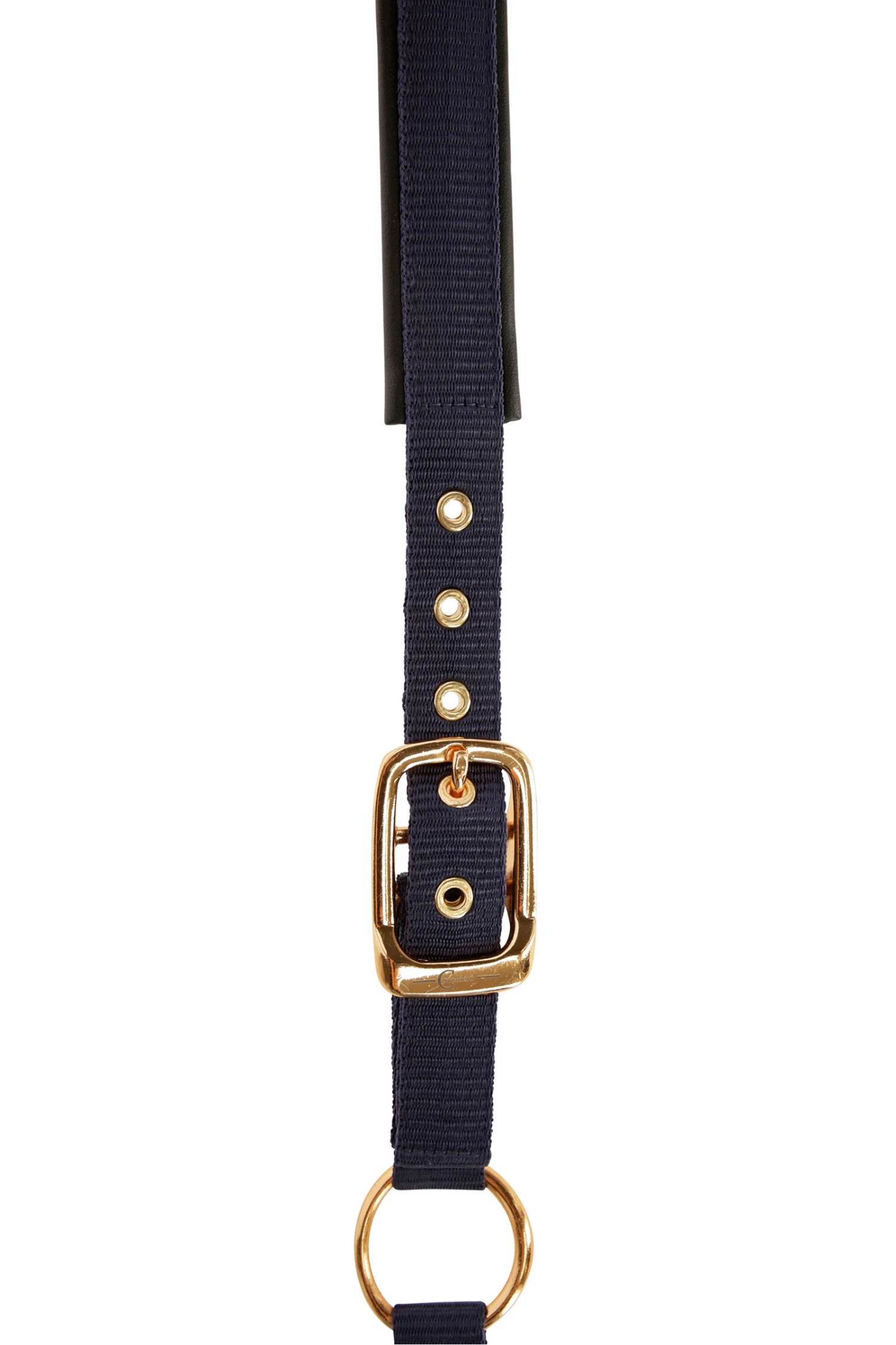 Covalliero TopLine Halter - Image 8