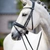 LeMieux Classic Dressage Bridle