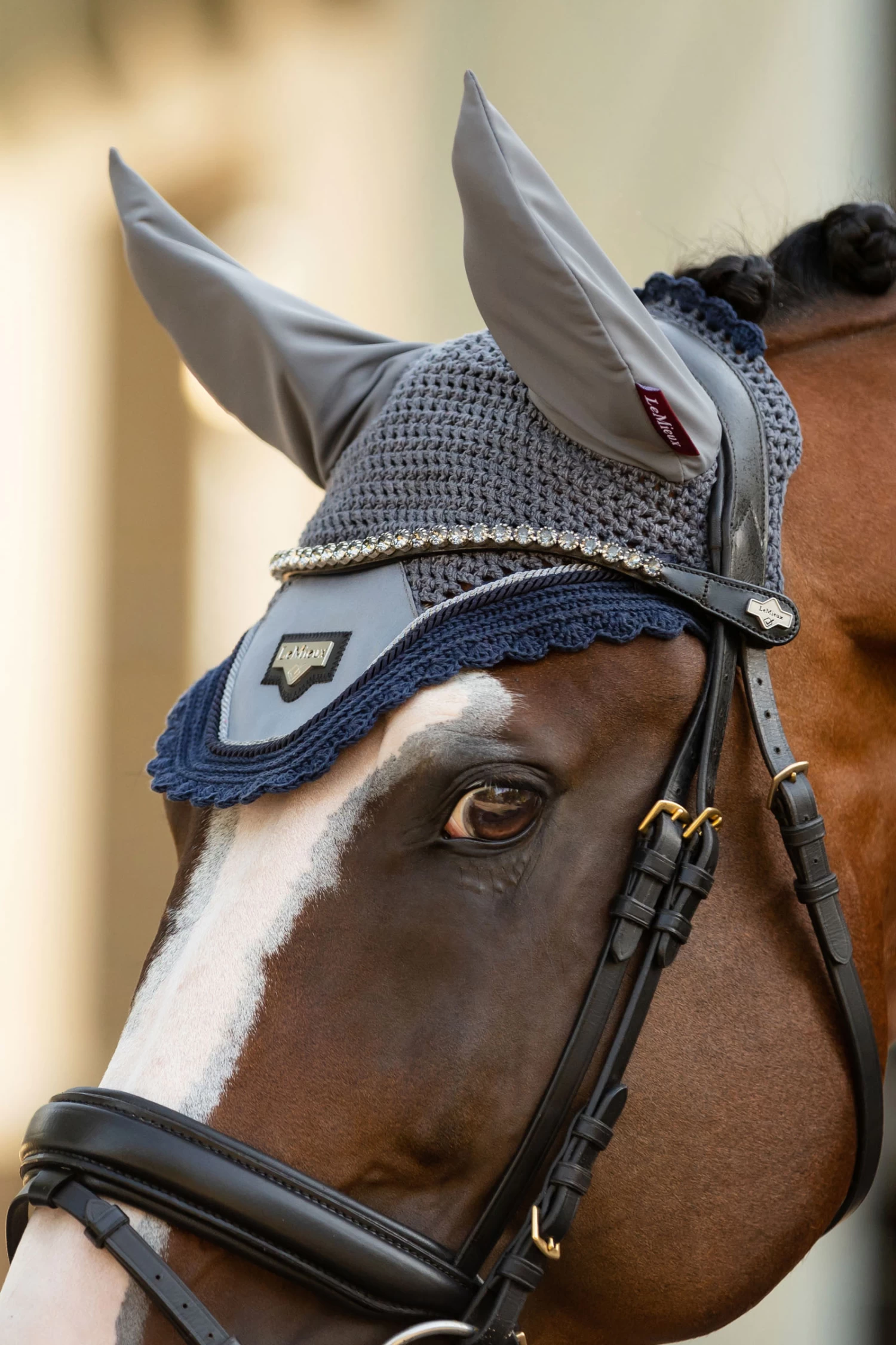 LeMieux Twilight Browband - Image 2