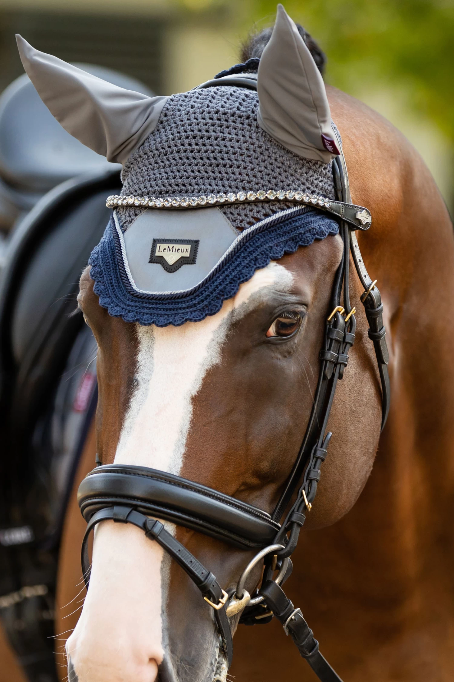 LeMieux Twilight Browband - Image 3