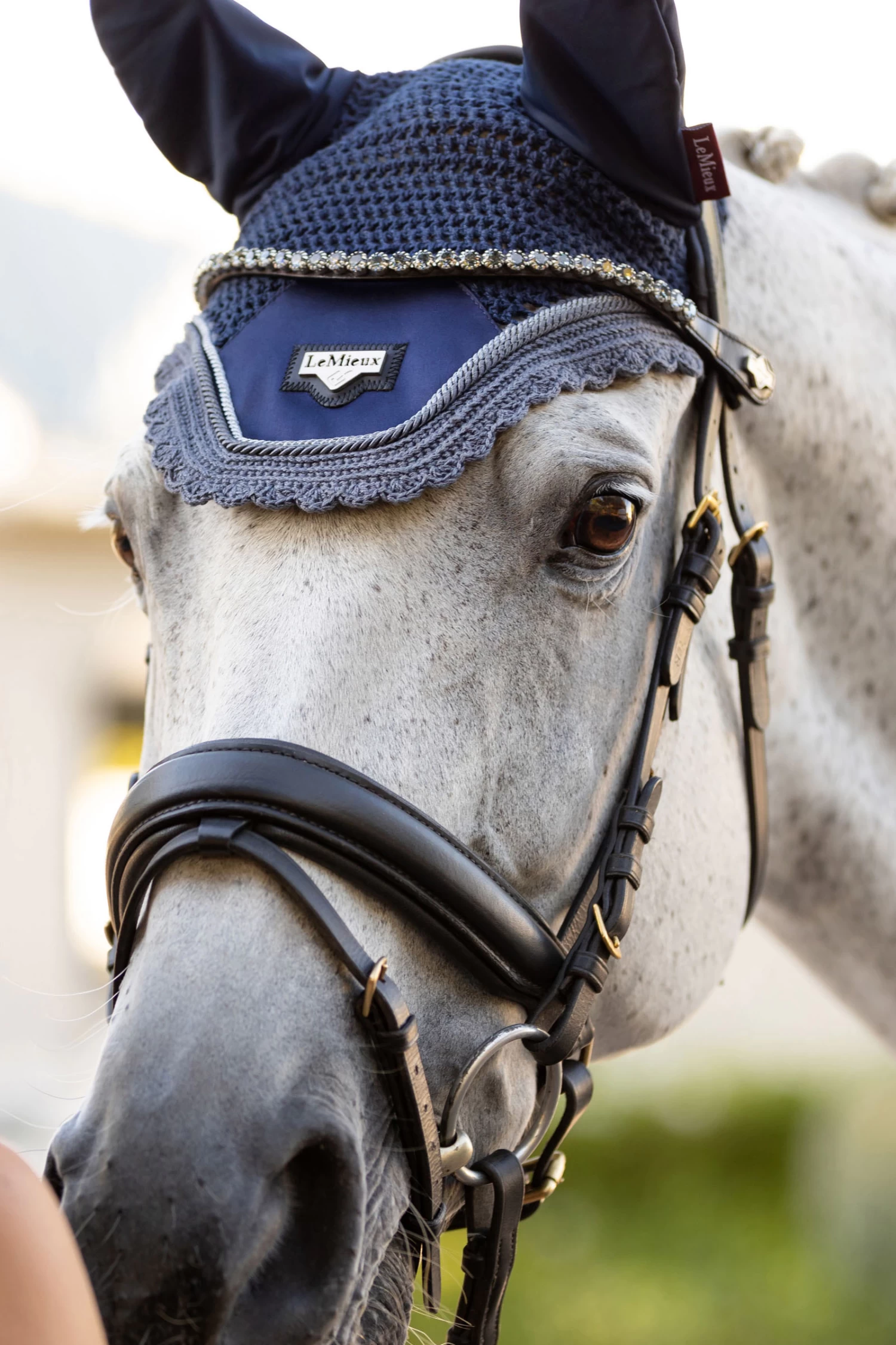 LeMieux Twilight Browband - Image 5