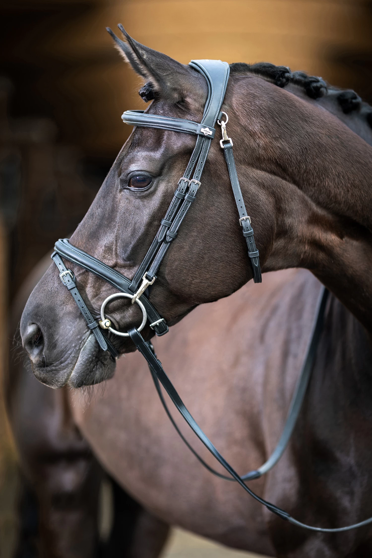 LeMieux Work Bridle