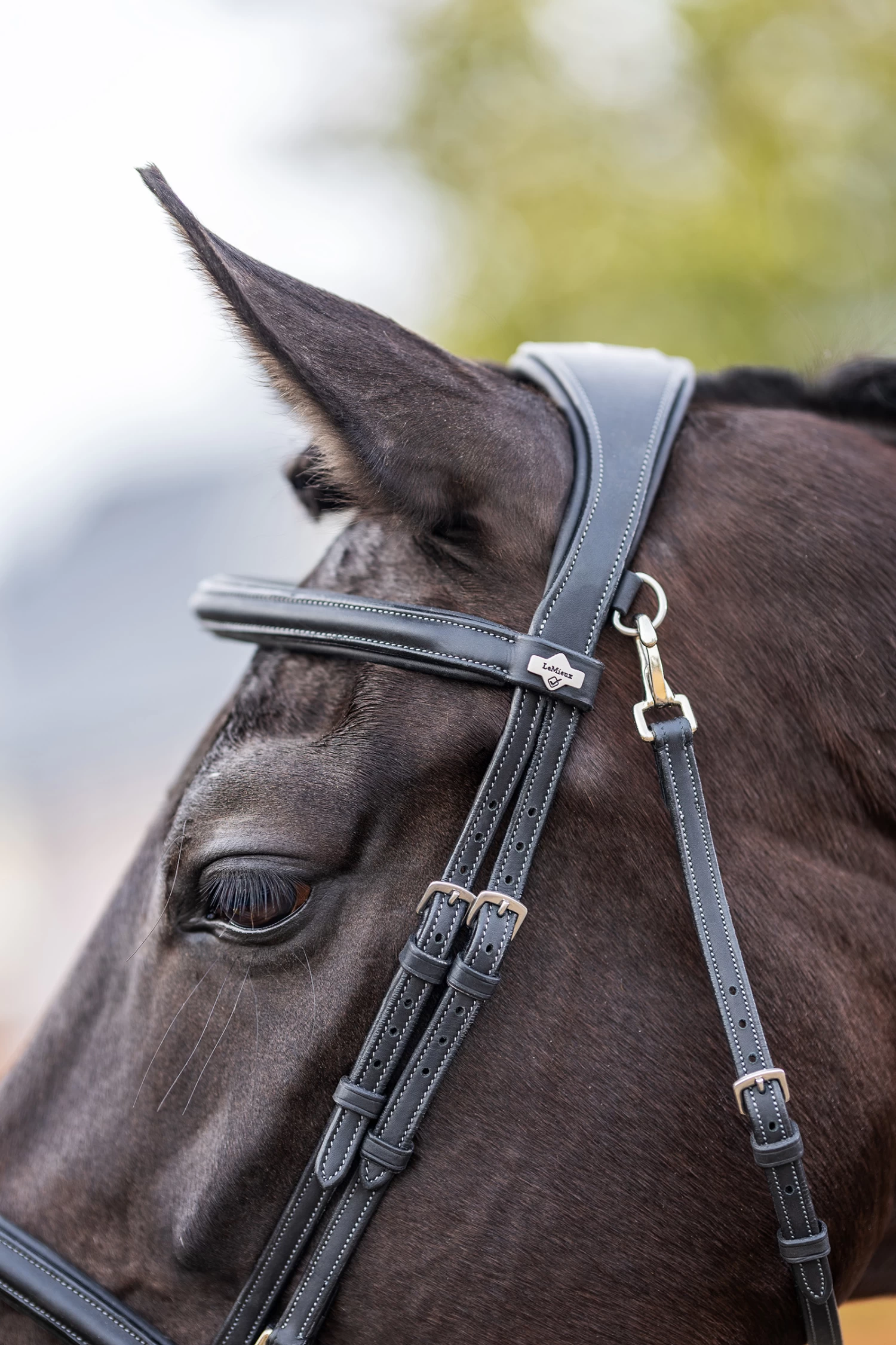 LeMieux Work Bridle - Image 2