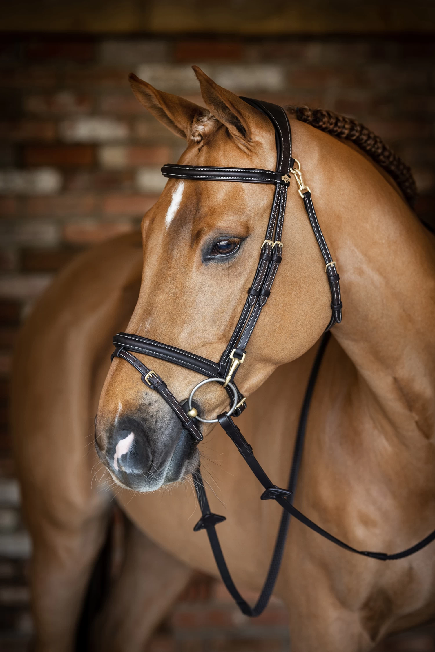 LeMieux Work Bridle - Image 3