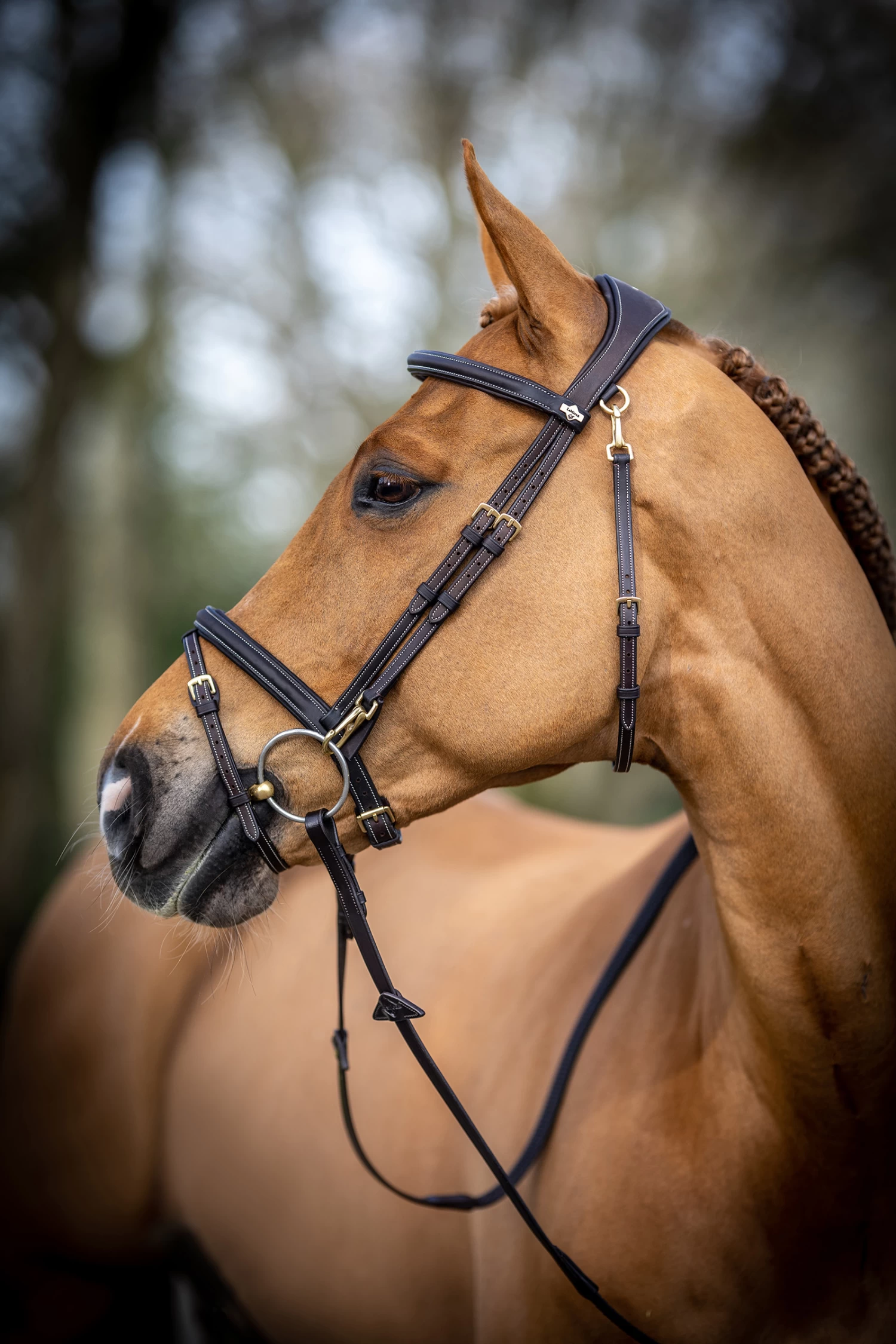 LeMieux Work Bridle - Image 4